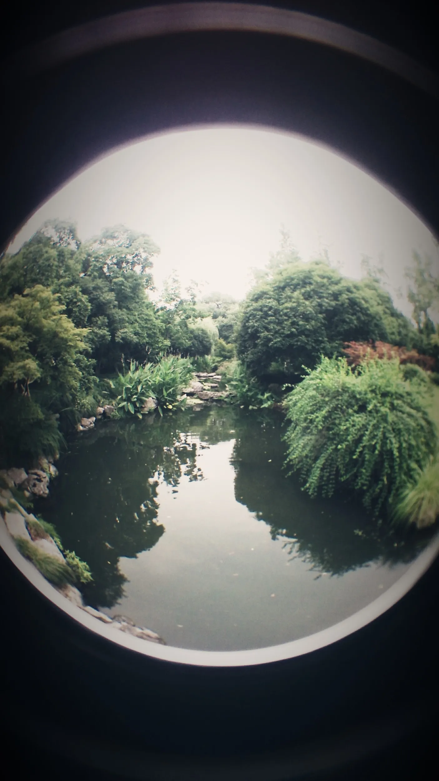 西湖湖畔の風景