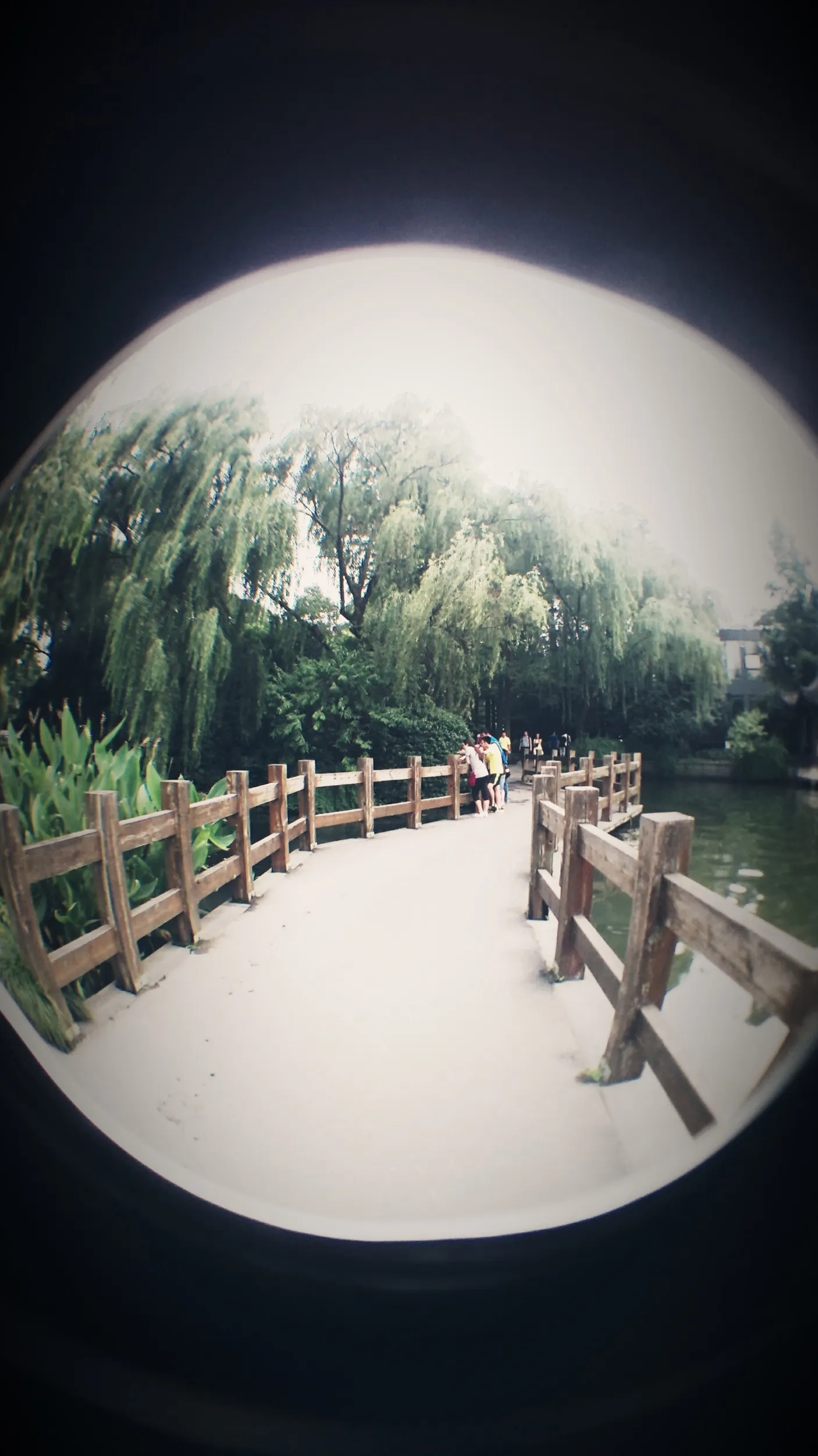 西湖湖畔の風景