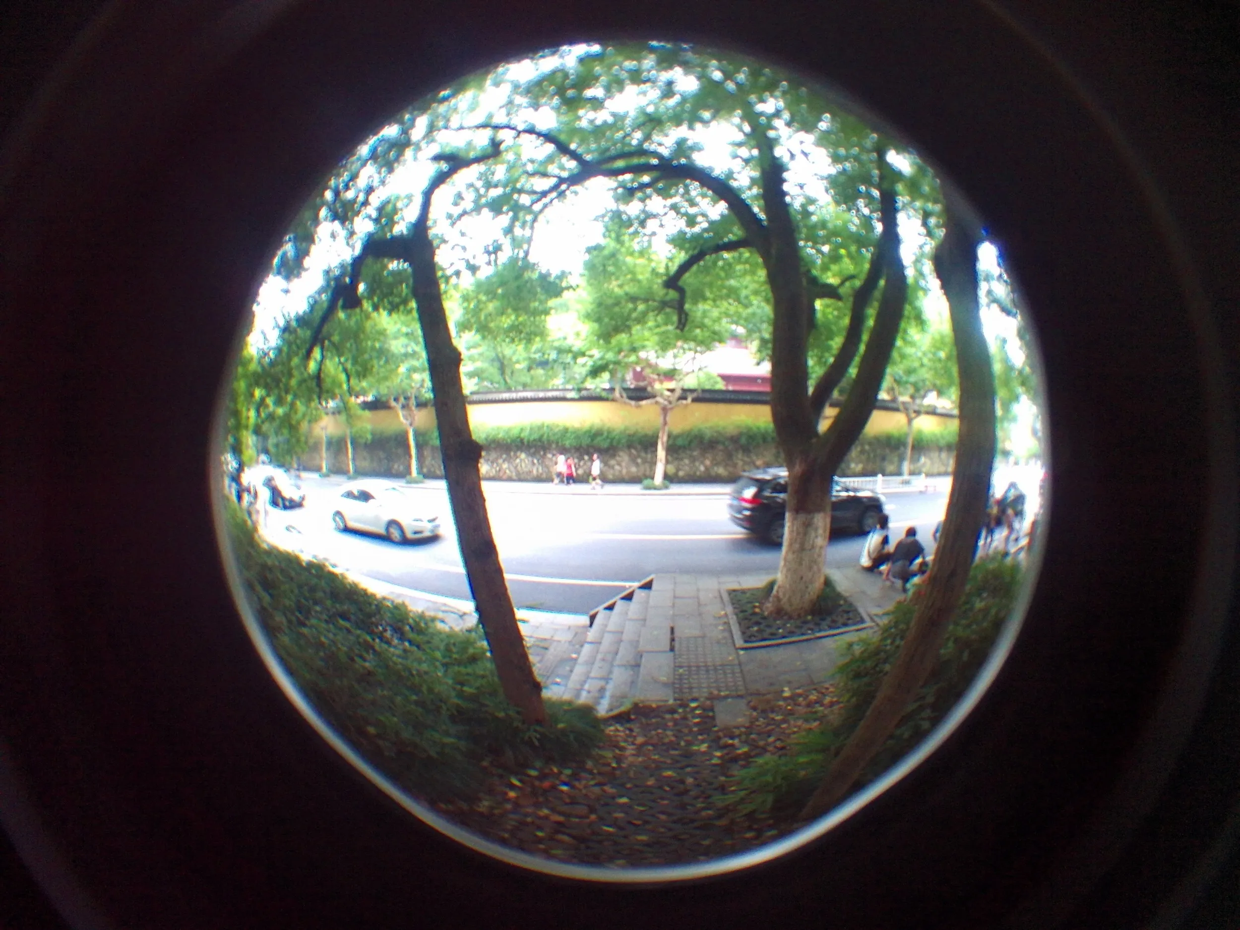 西湖湖畔の風景