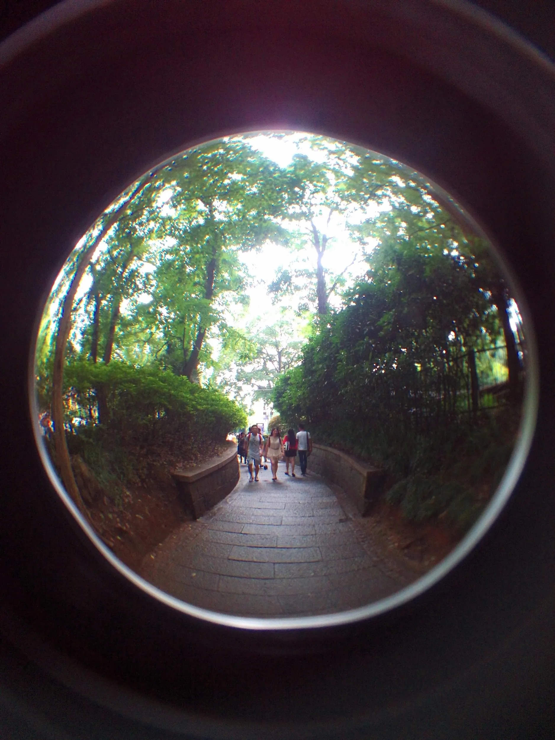 西湖湖畔の風景
