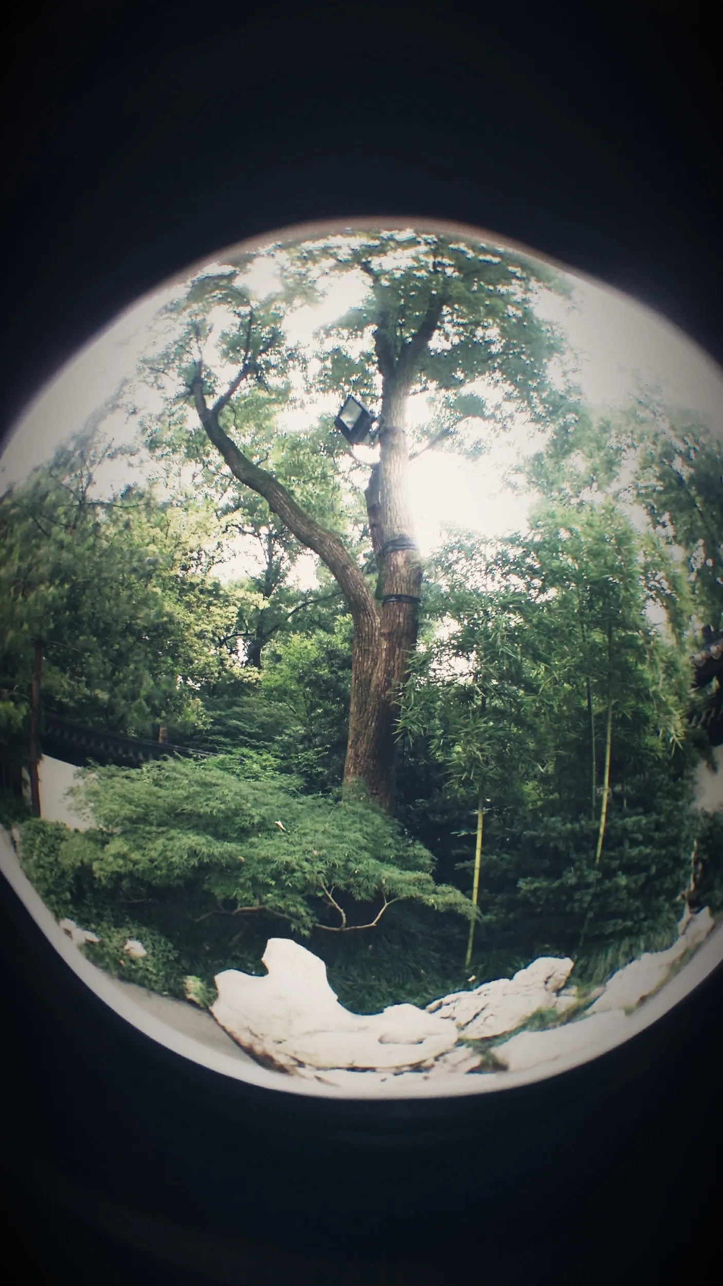 雷峰塔付近の風景