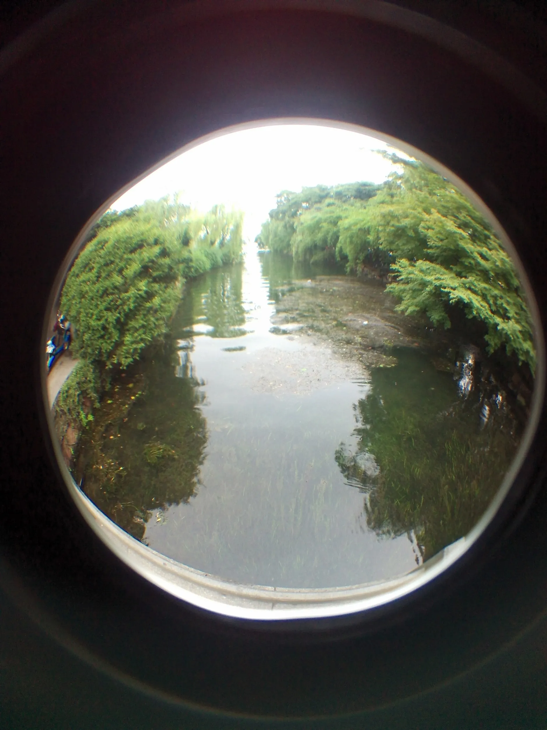 蘇堤の花港波止場付近