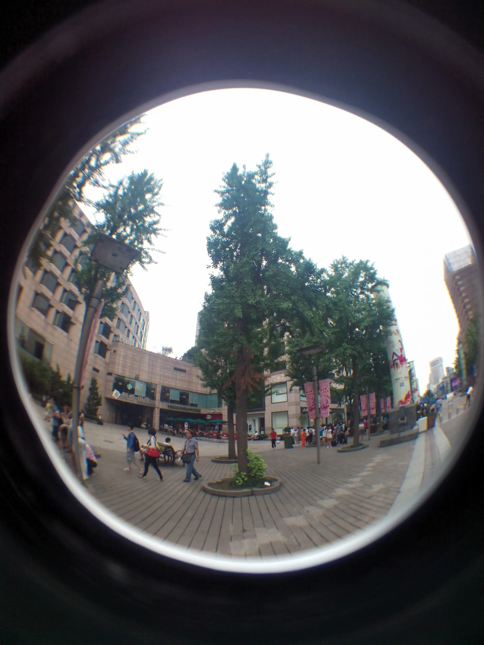 龍翔橋から西湖へ向かう