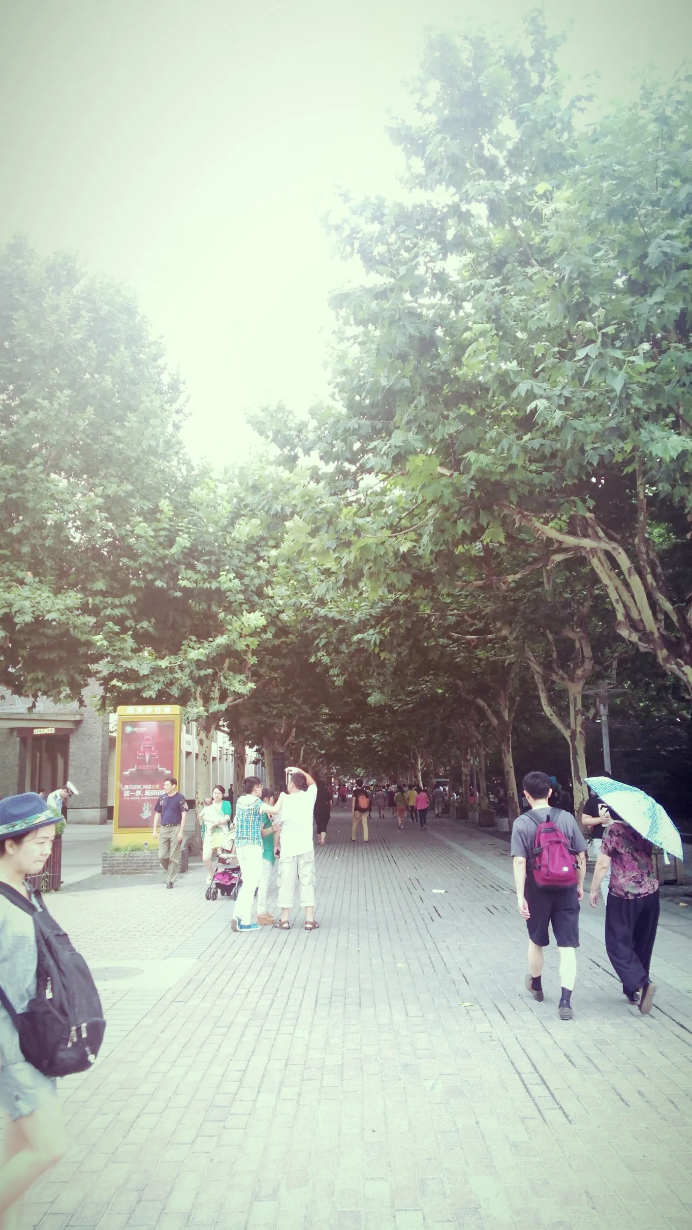 龍翔橋から西湖へ向かう