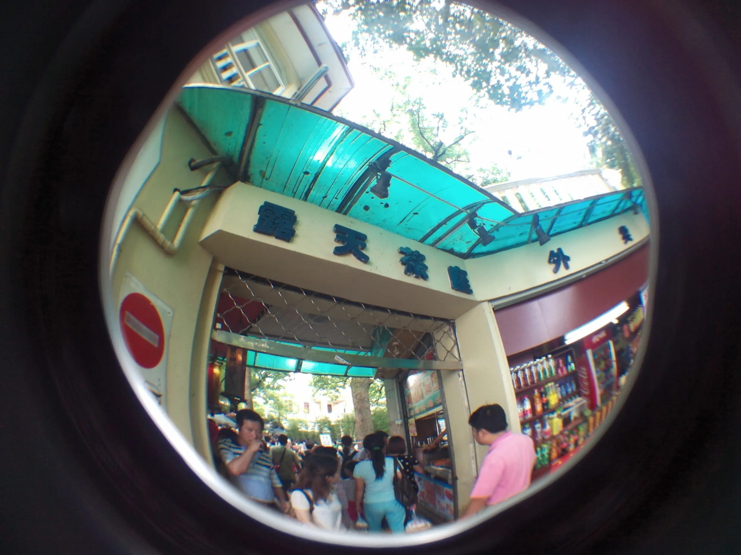 西湖湖畔の風景