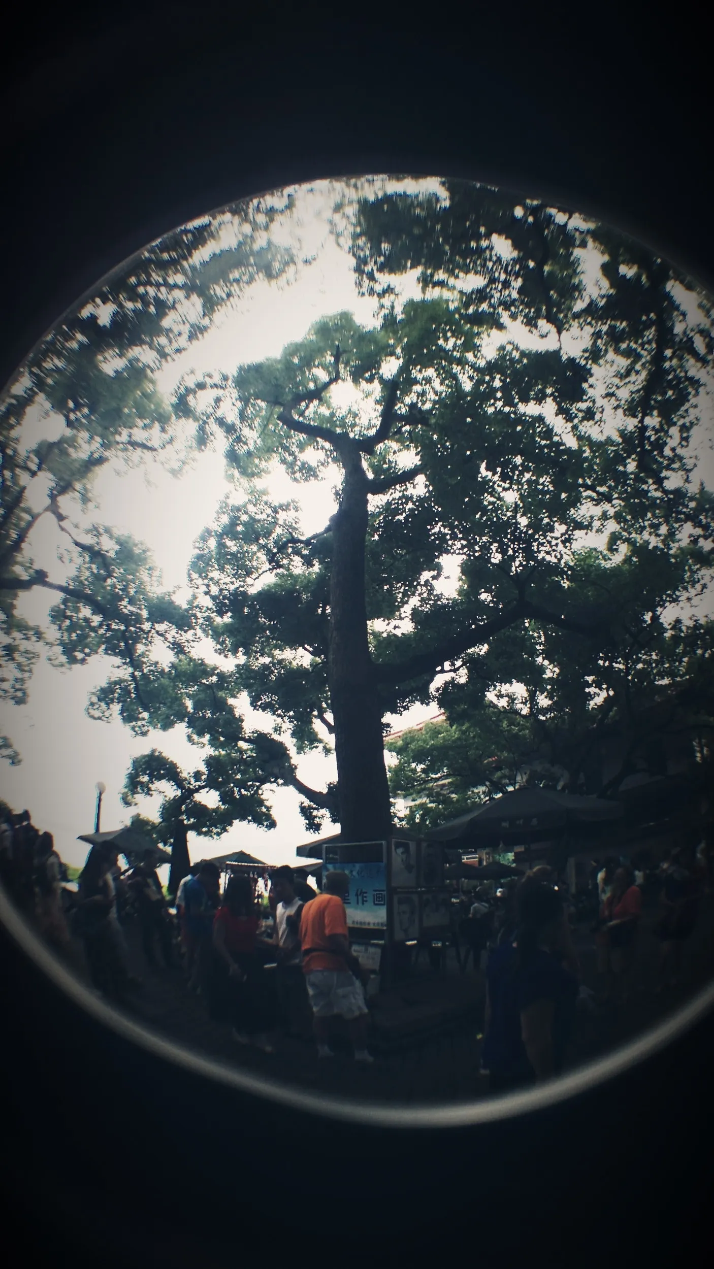 西湖湖畔の風景