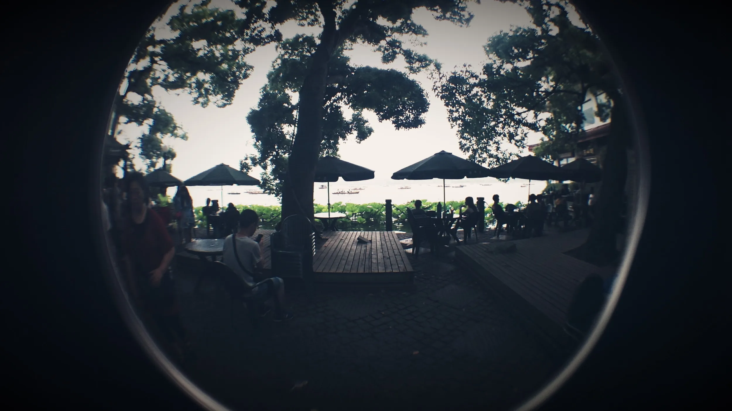 西湖湖畔の風景