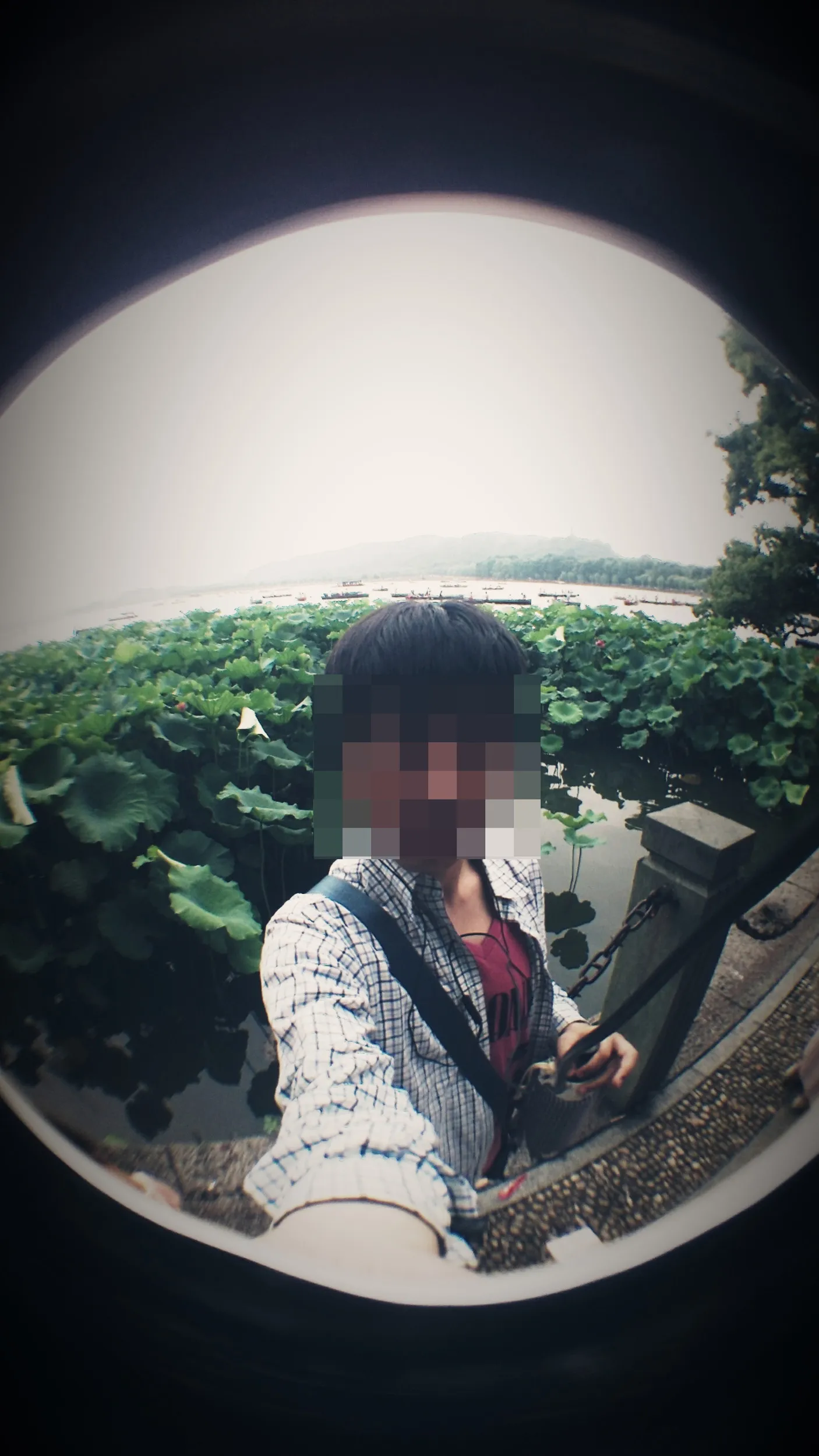 西湖湖畔に咲く蓮の花と記念撮影