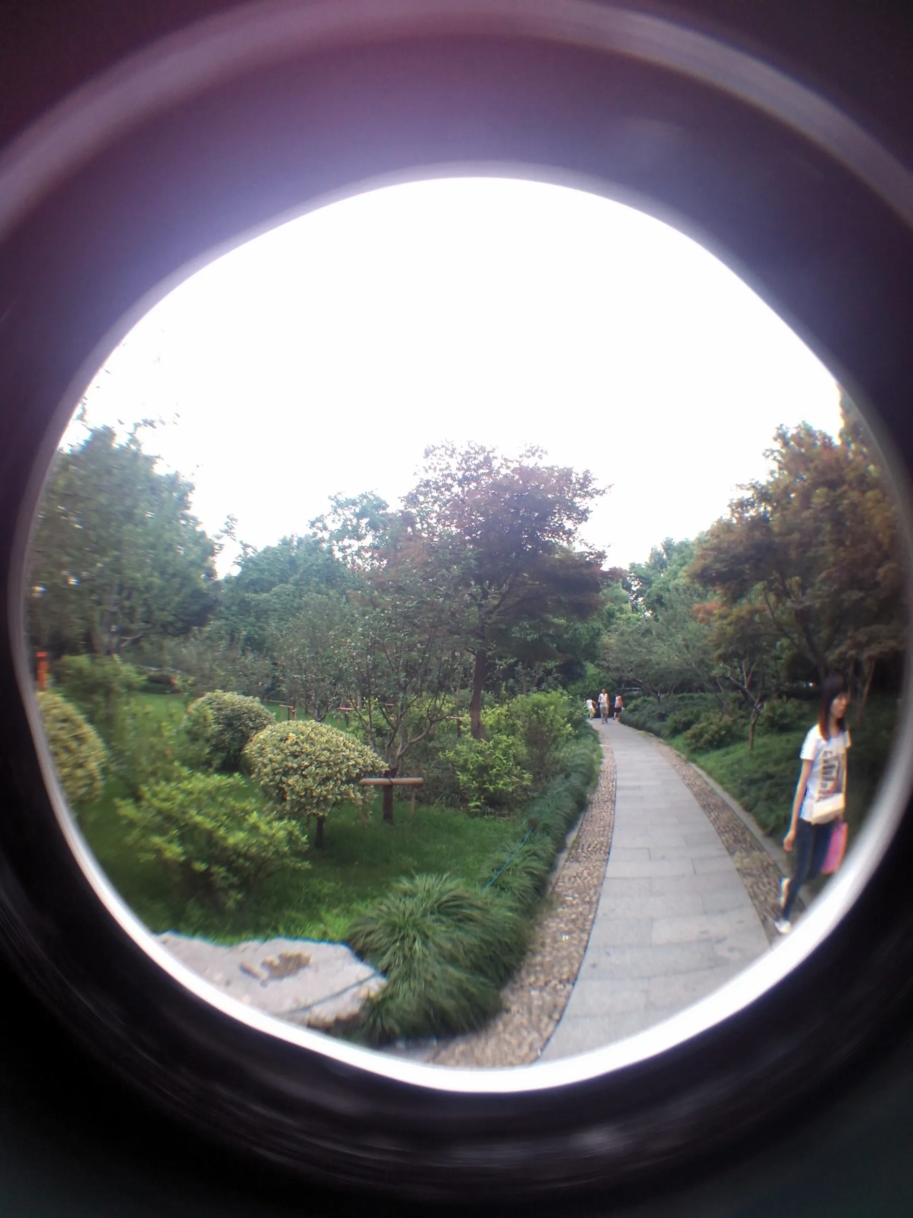 西湖湖畔を散歩