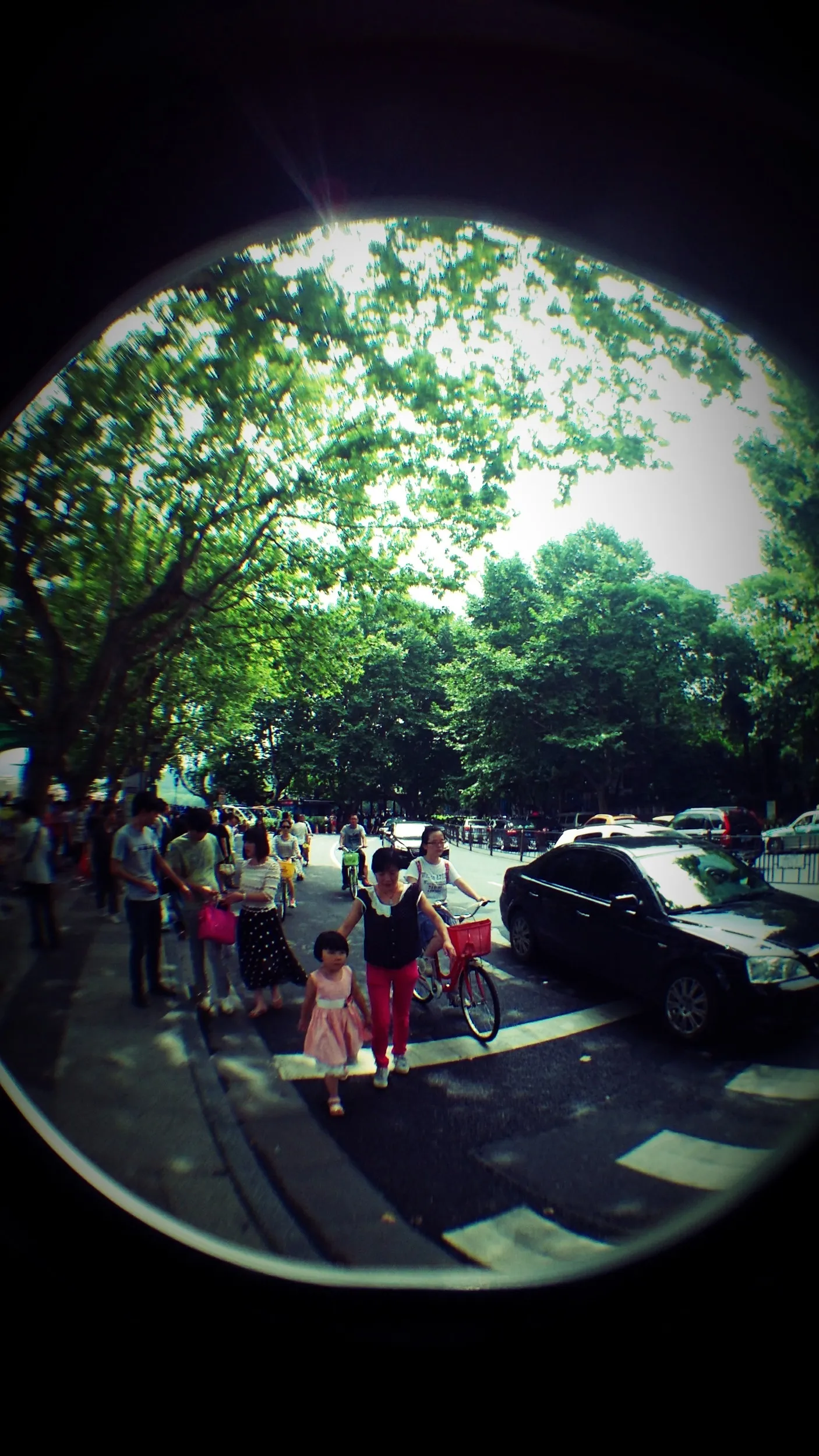 西湖湖畔を散歩