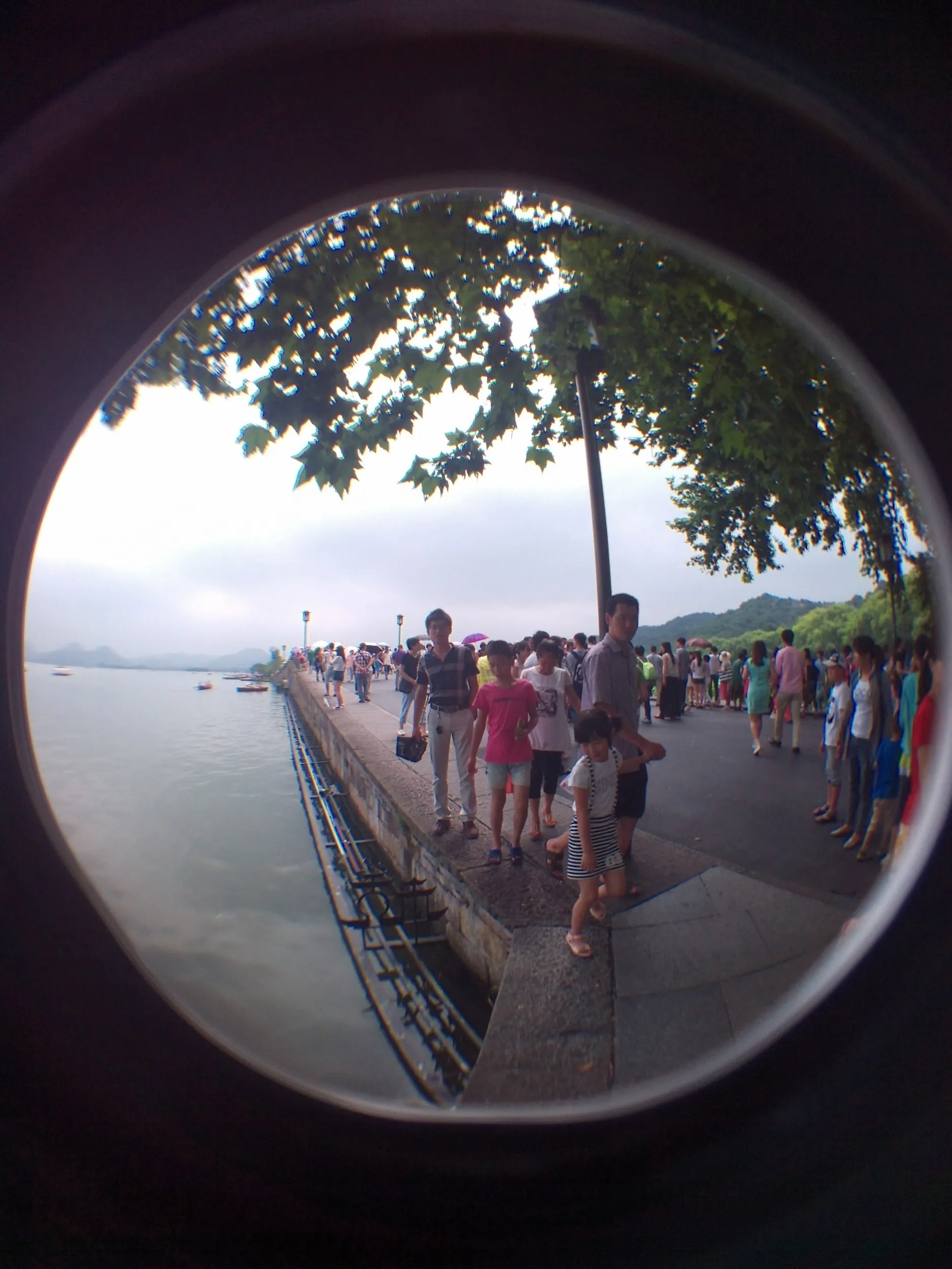 西湖湖畔を散歩