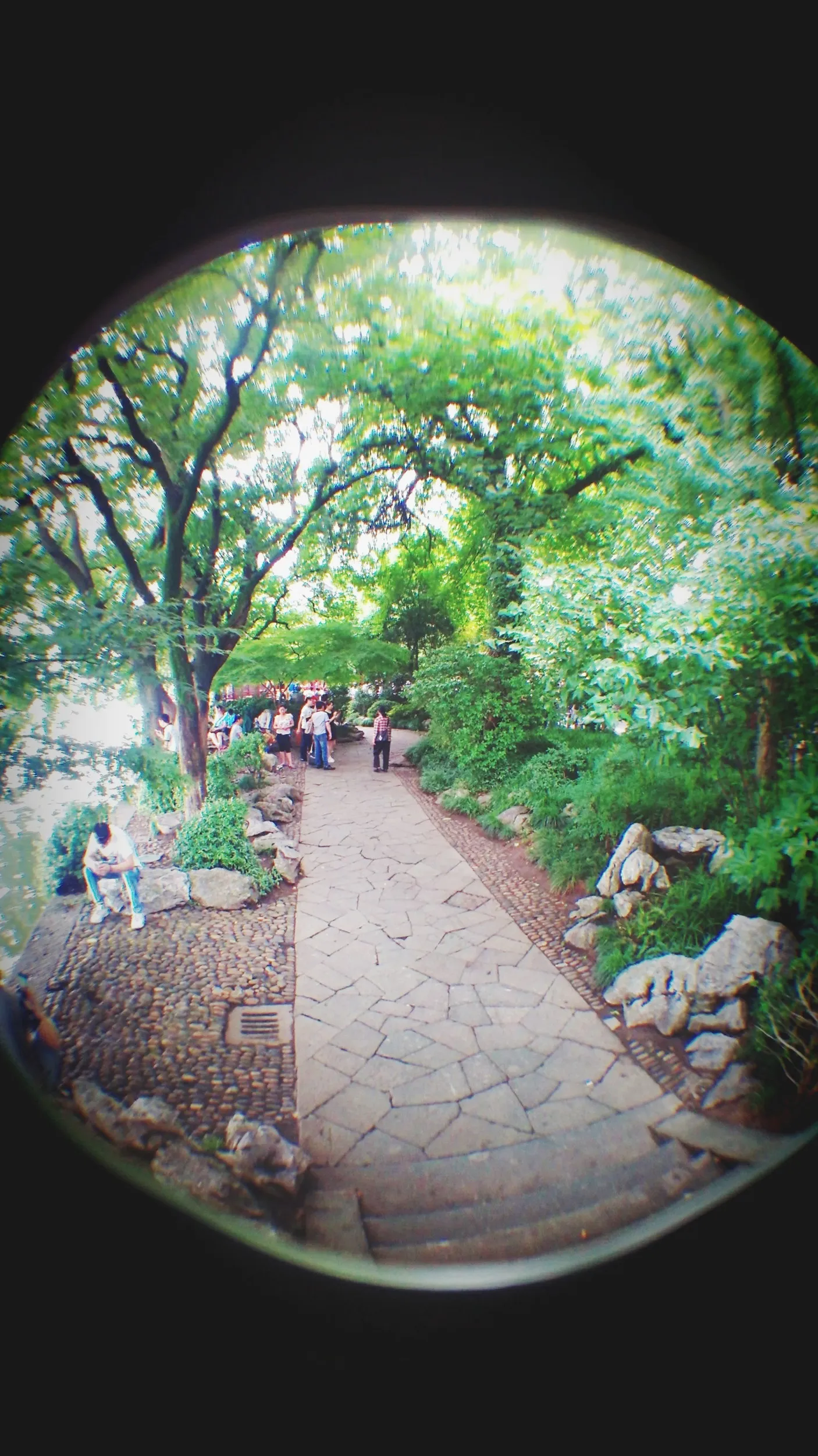 月波亭周辺の風景