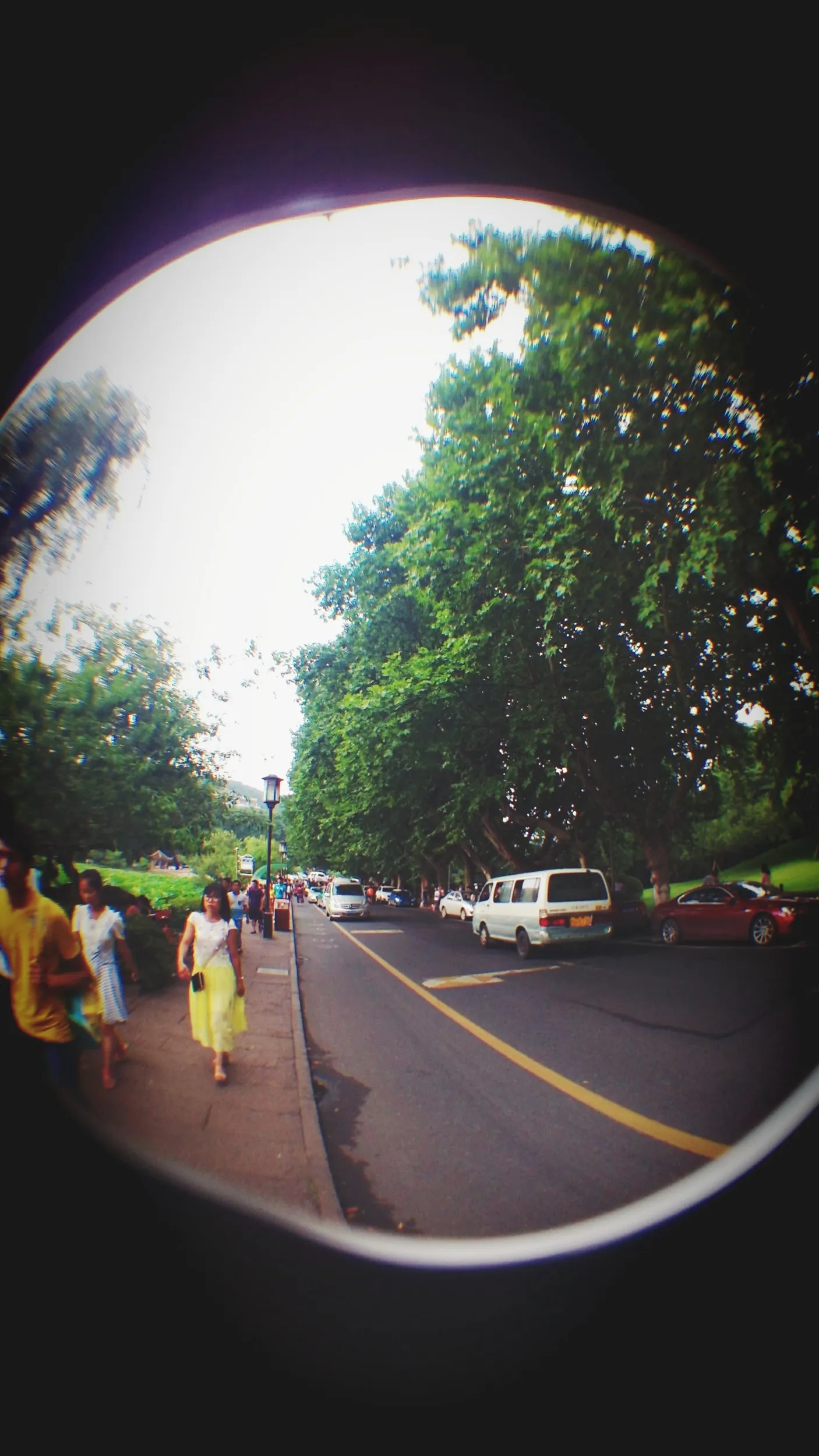 白堤と蘇堤付近