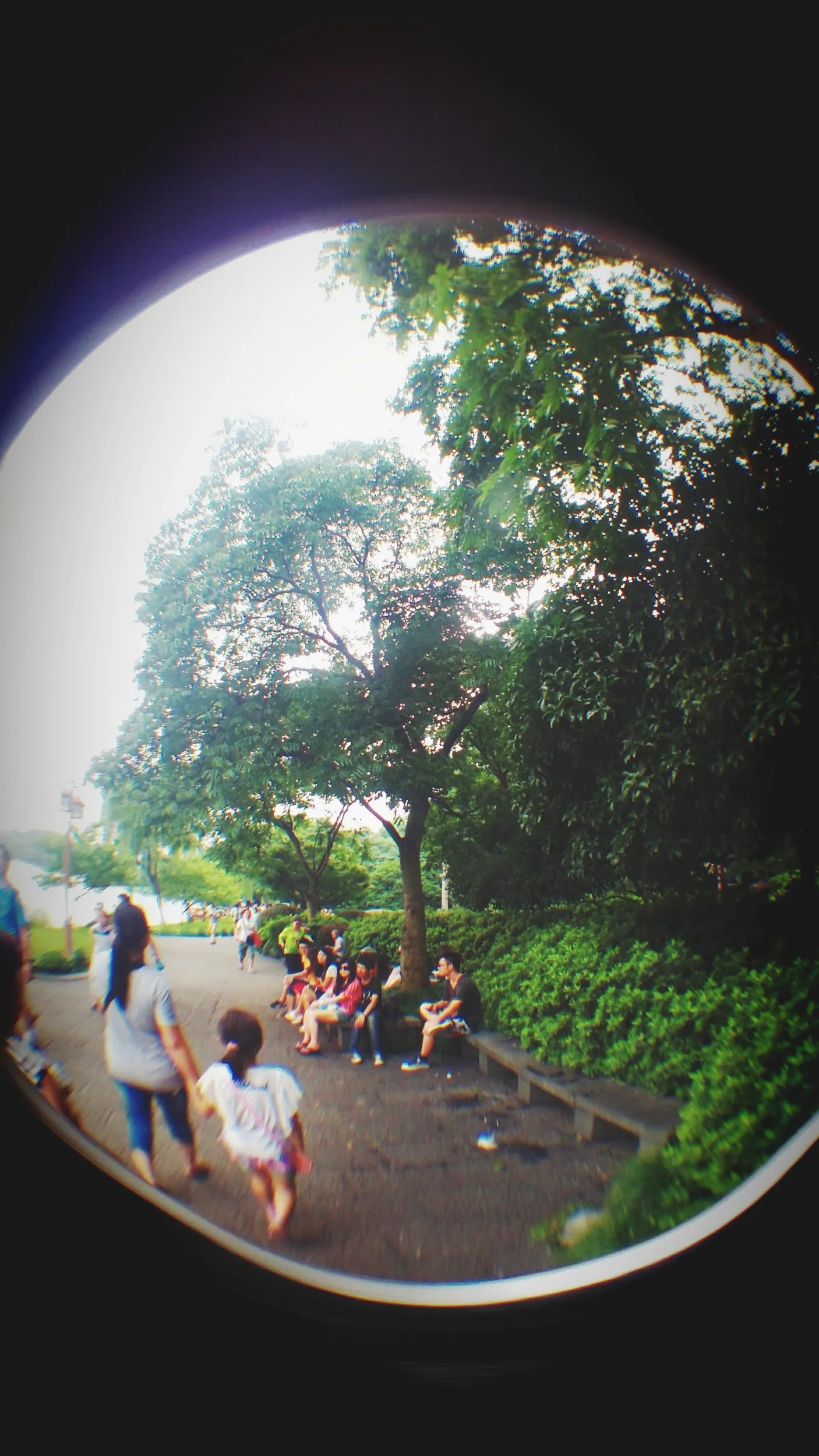 蘇堤、北側の風景