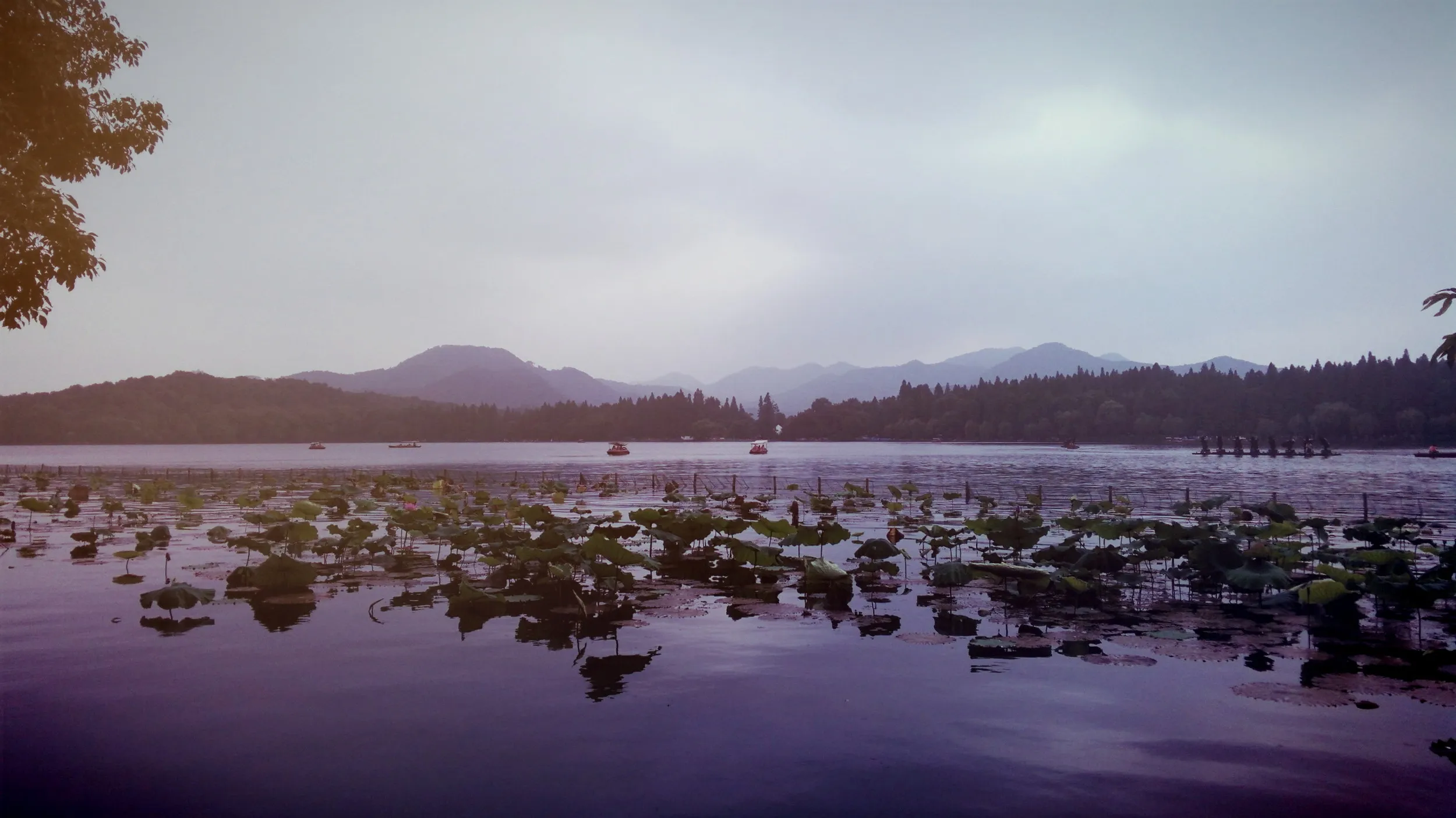 蘇堤から眺めた西湖の風景