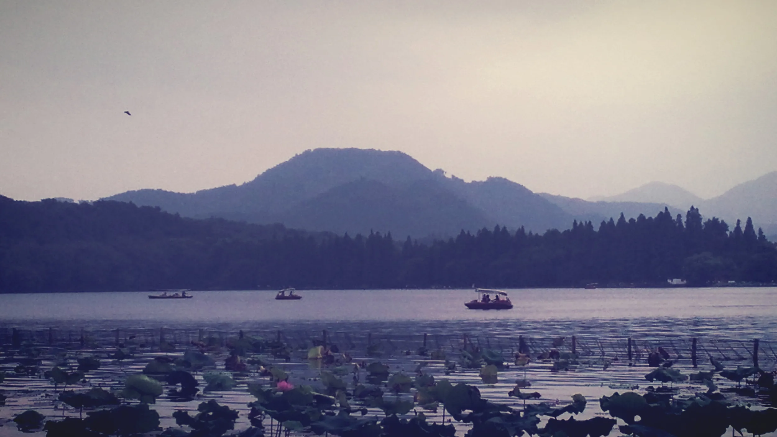 蘇堤から眺めた西湖の風景