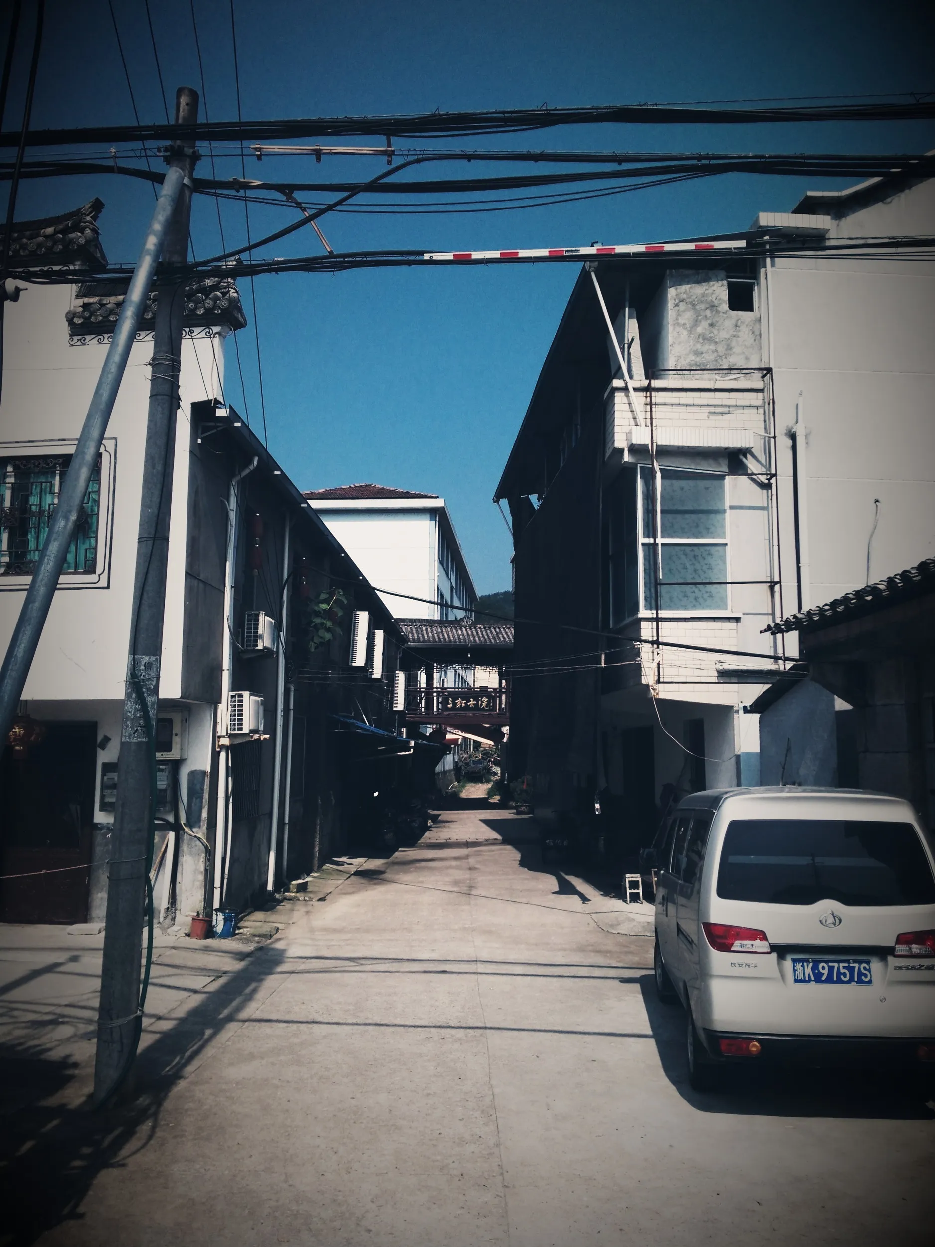 鼎湖路沿いの風景
