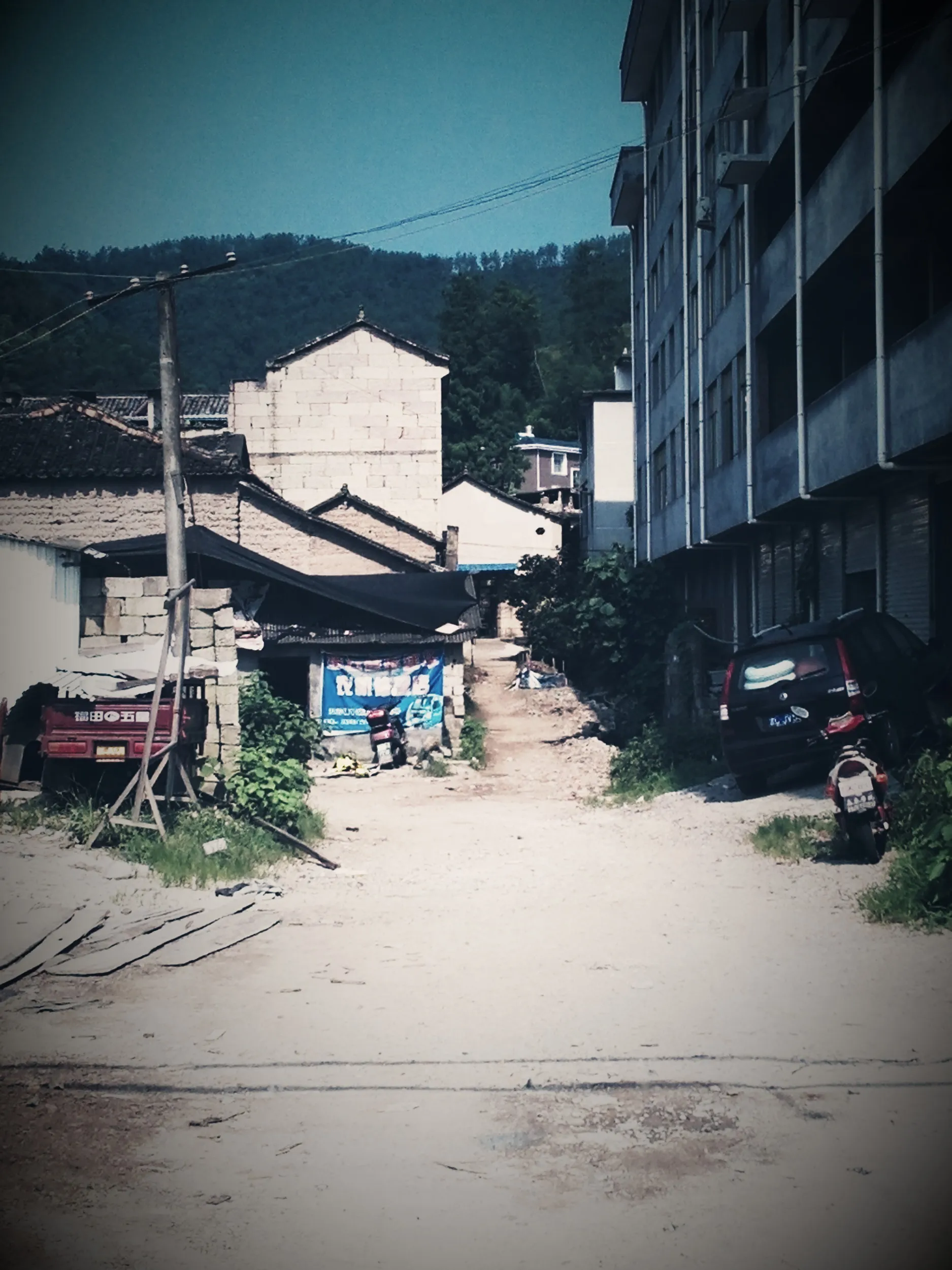 鼎湖路沿いの風景