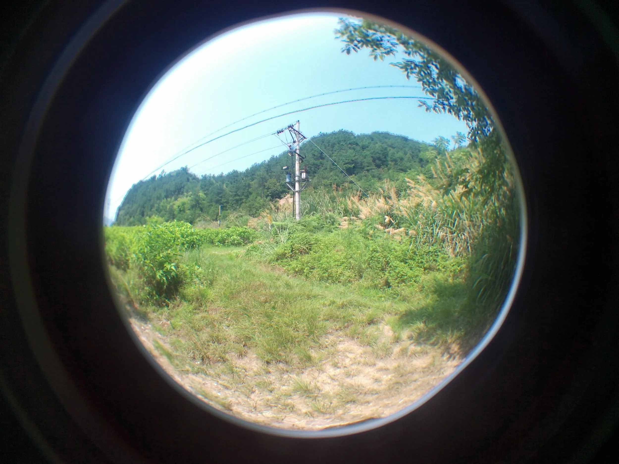 山道周辺の風景