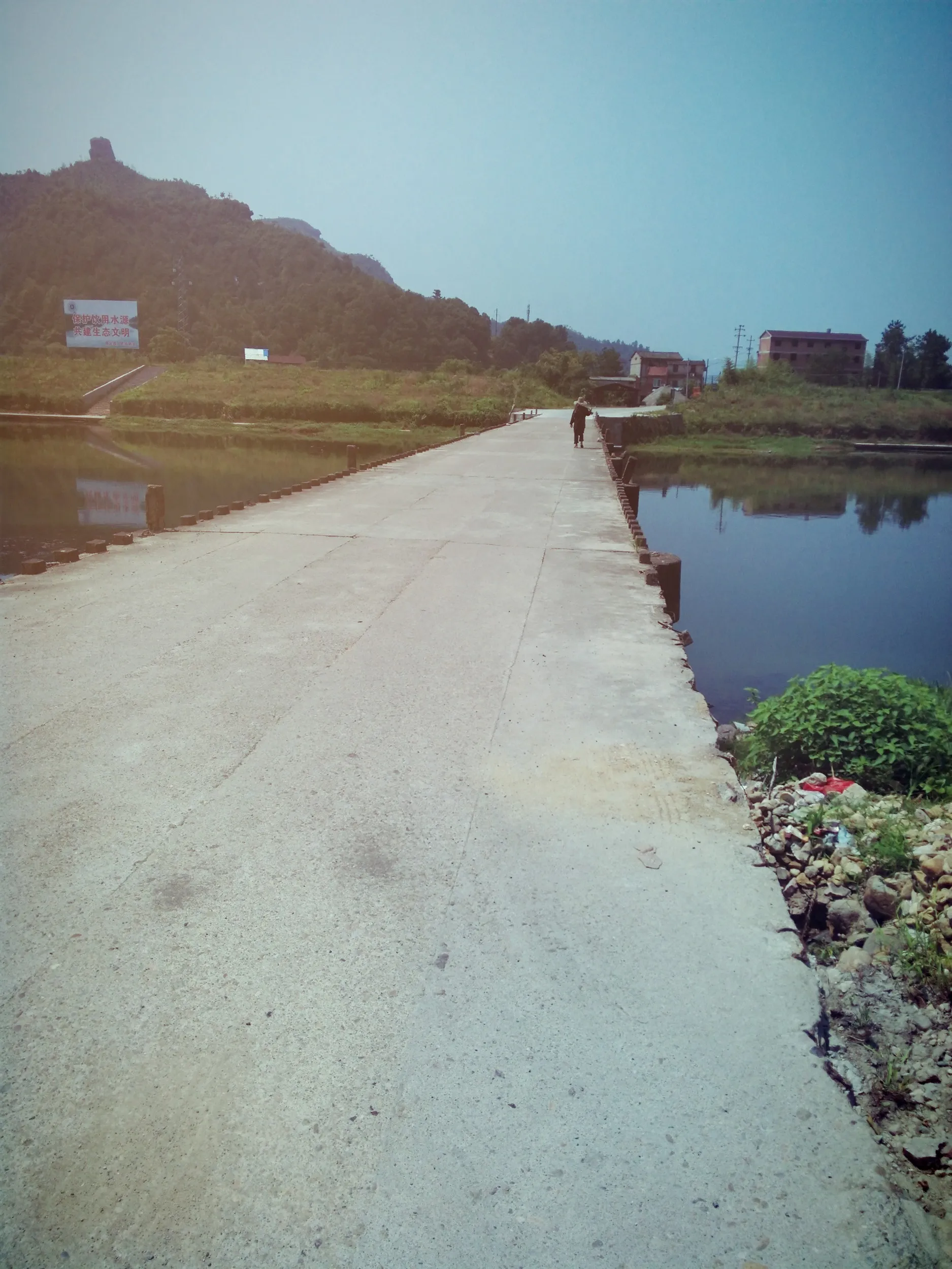 川に古い橋桁が残っていた