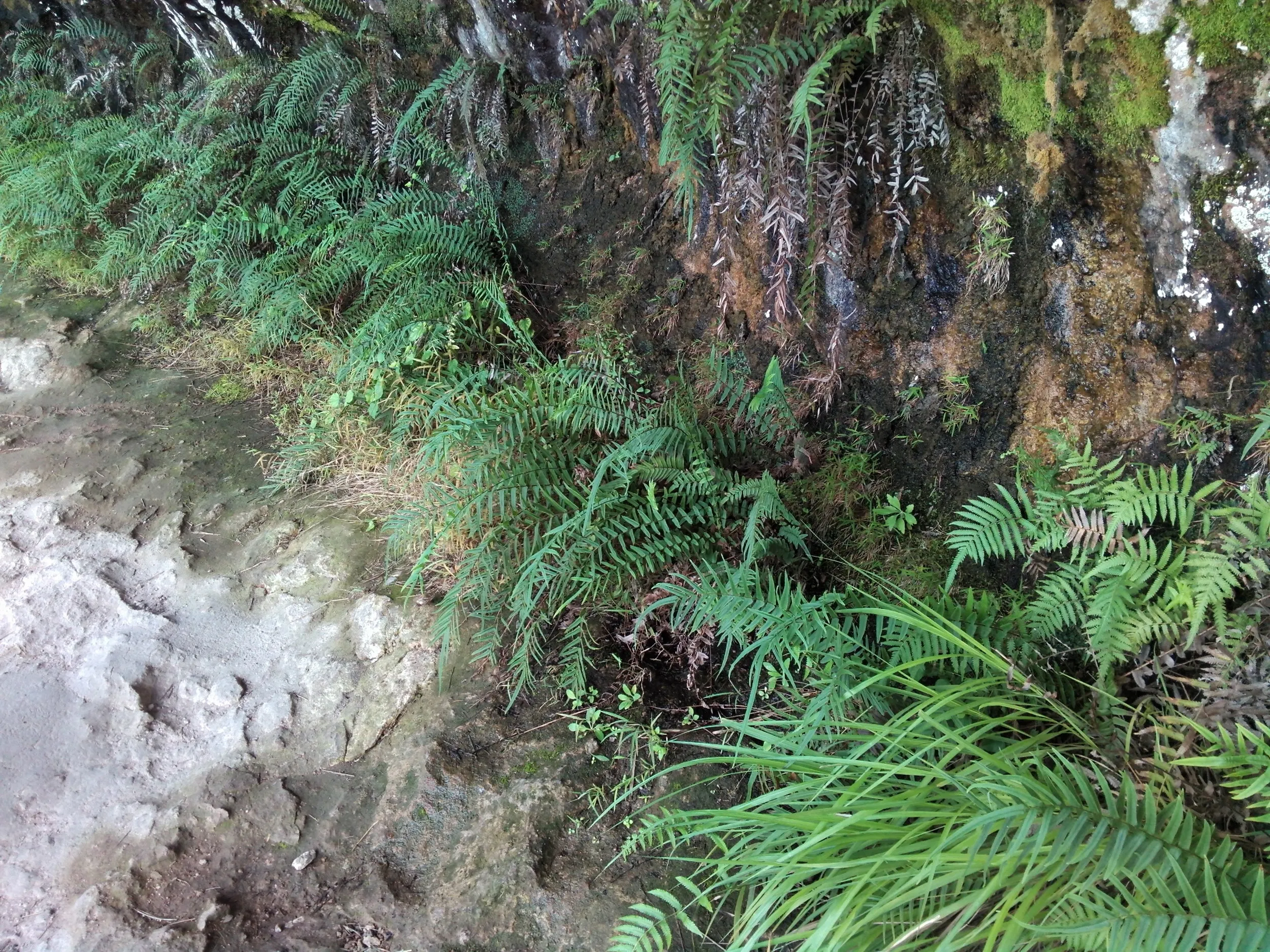 小赤壁の崖の上