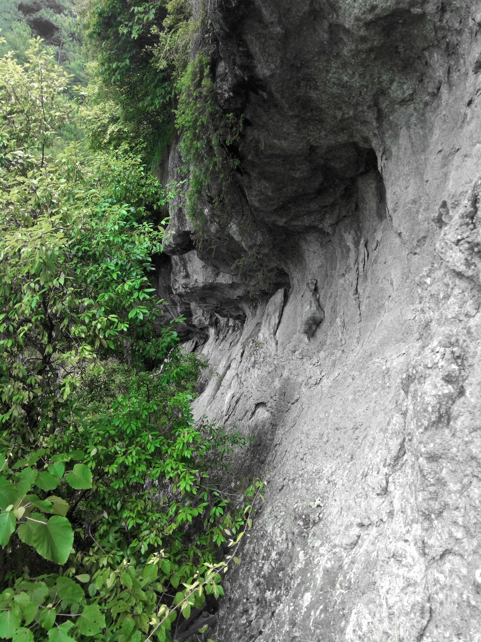 小赤壁、崖の上