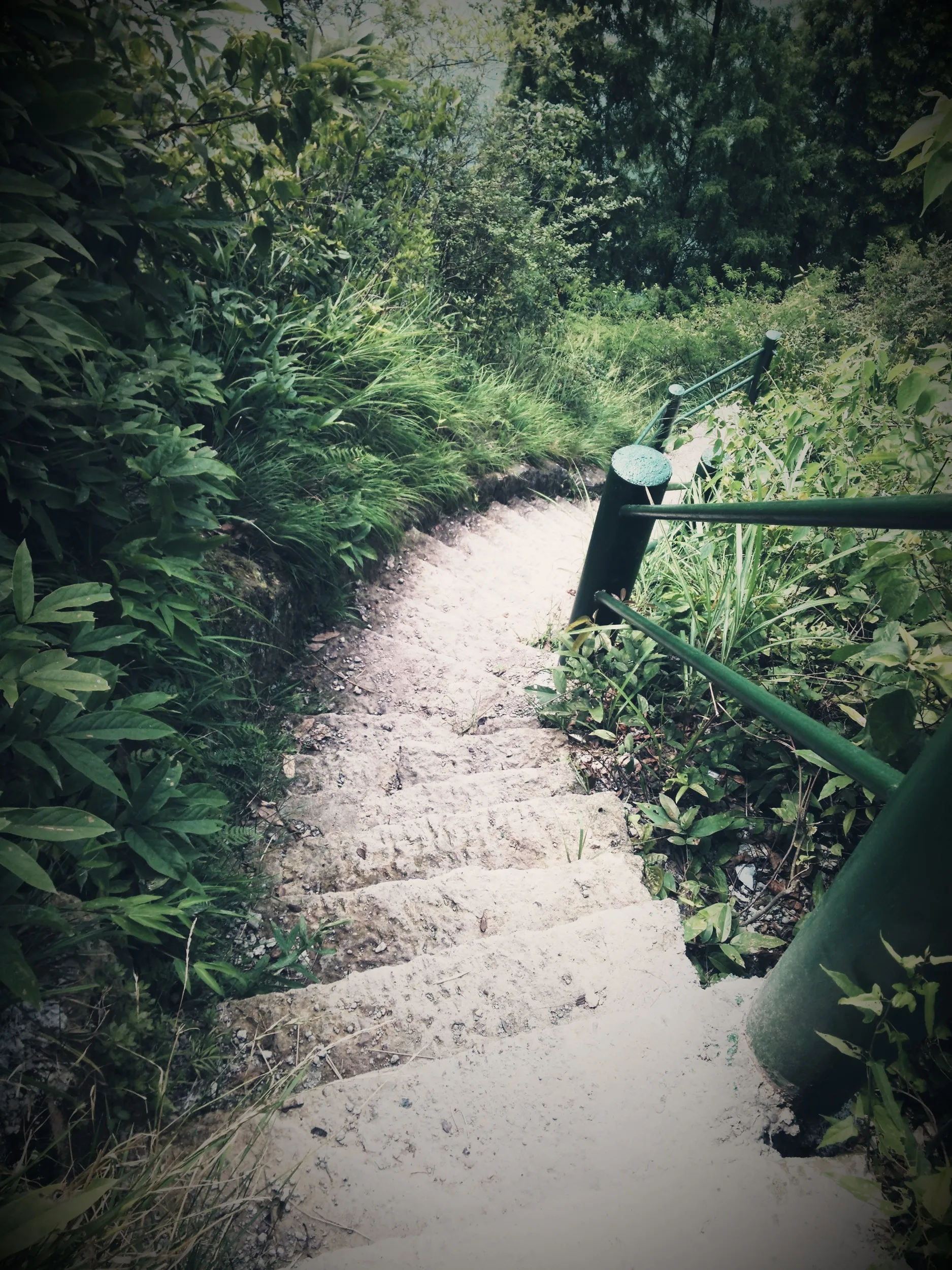 小赤壁、崖の上