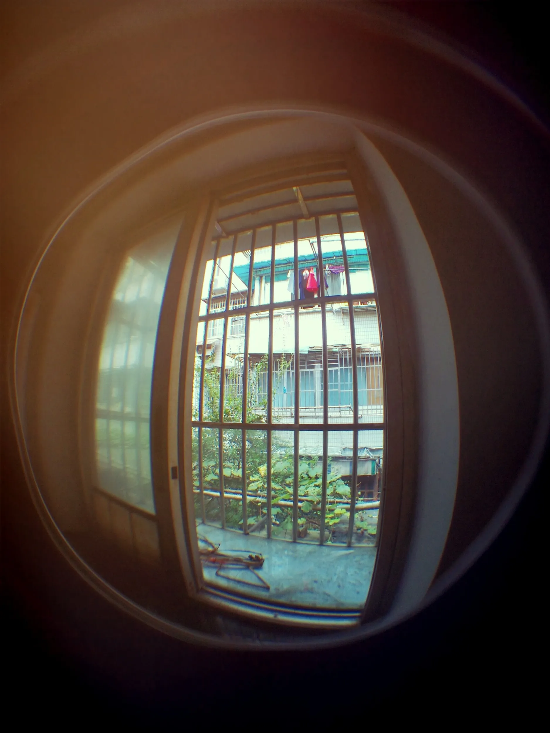 部屋からの風景