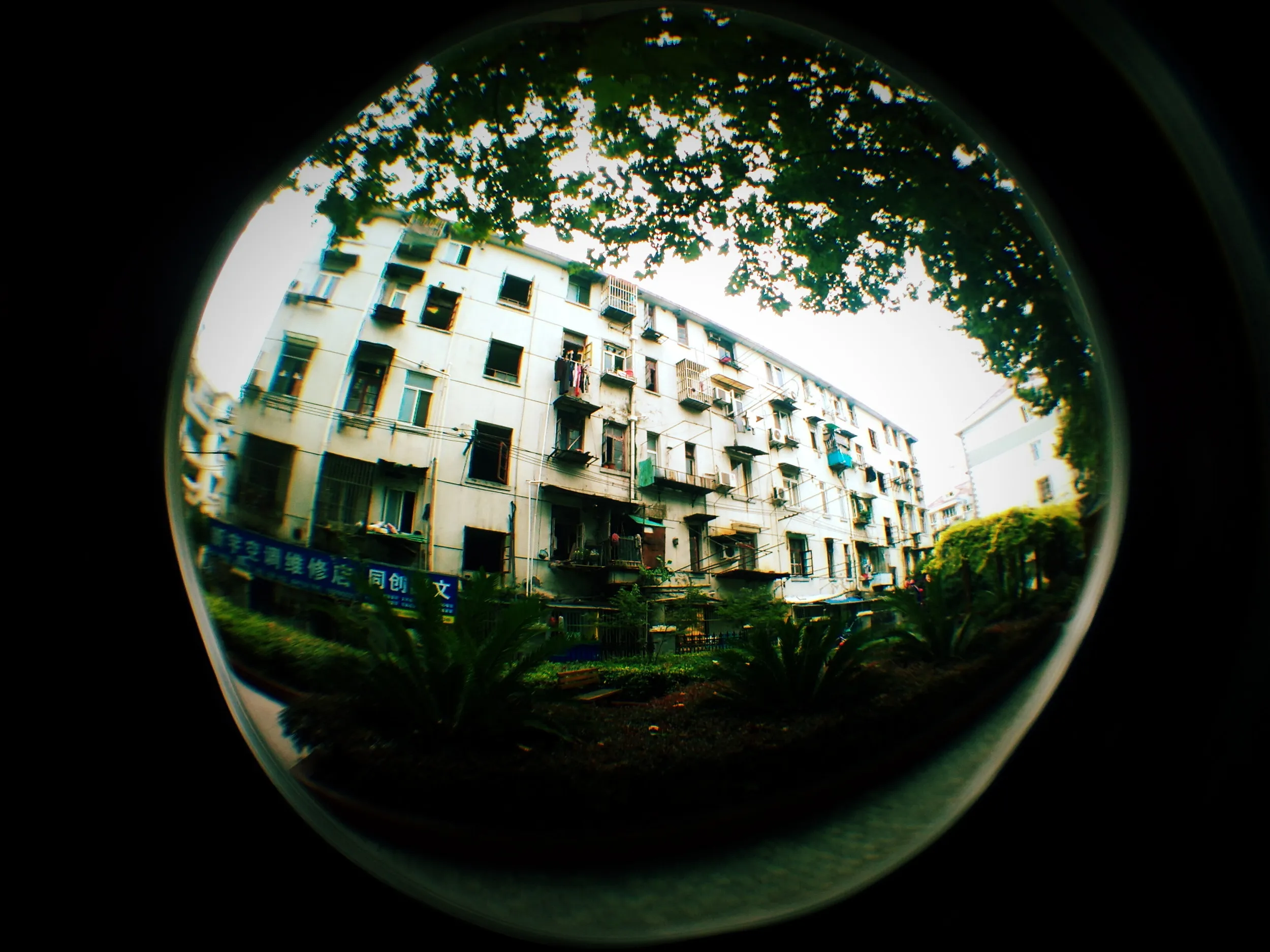 ネット申し込みの帰り道