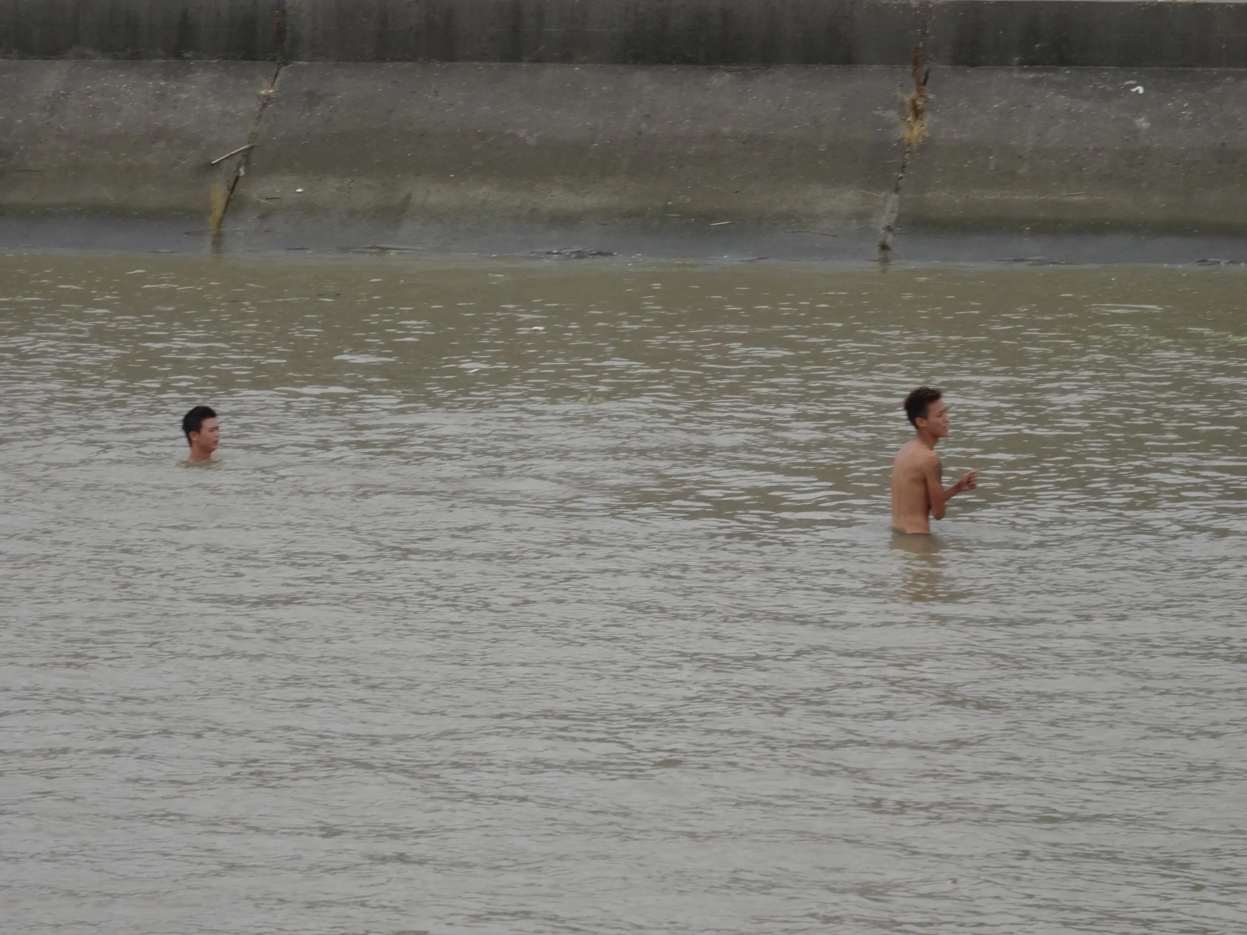 銭塘江で泳ぐ人