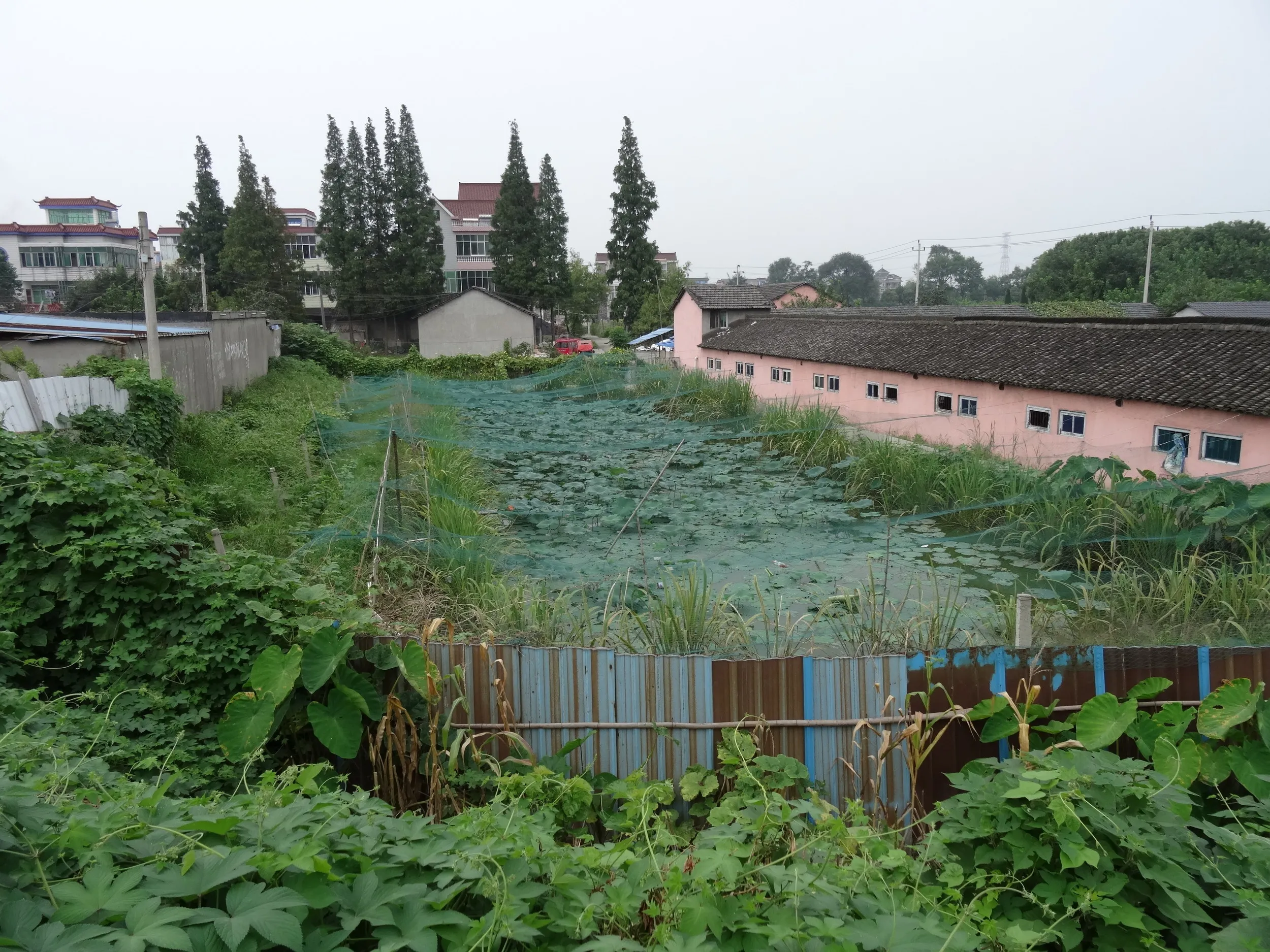 回頭潮から老塩倉へ戻る