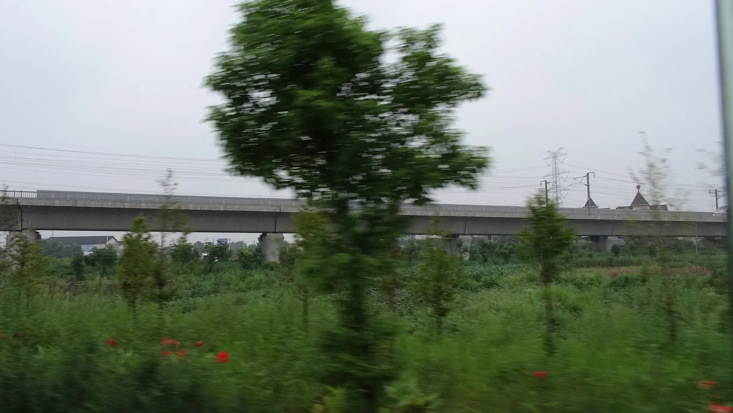 バスからの車窓風景