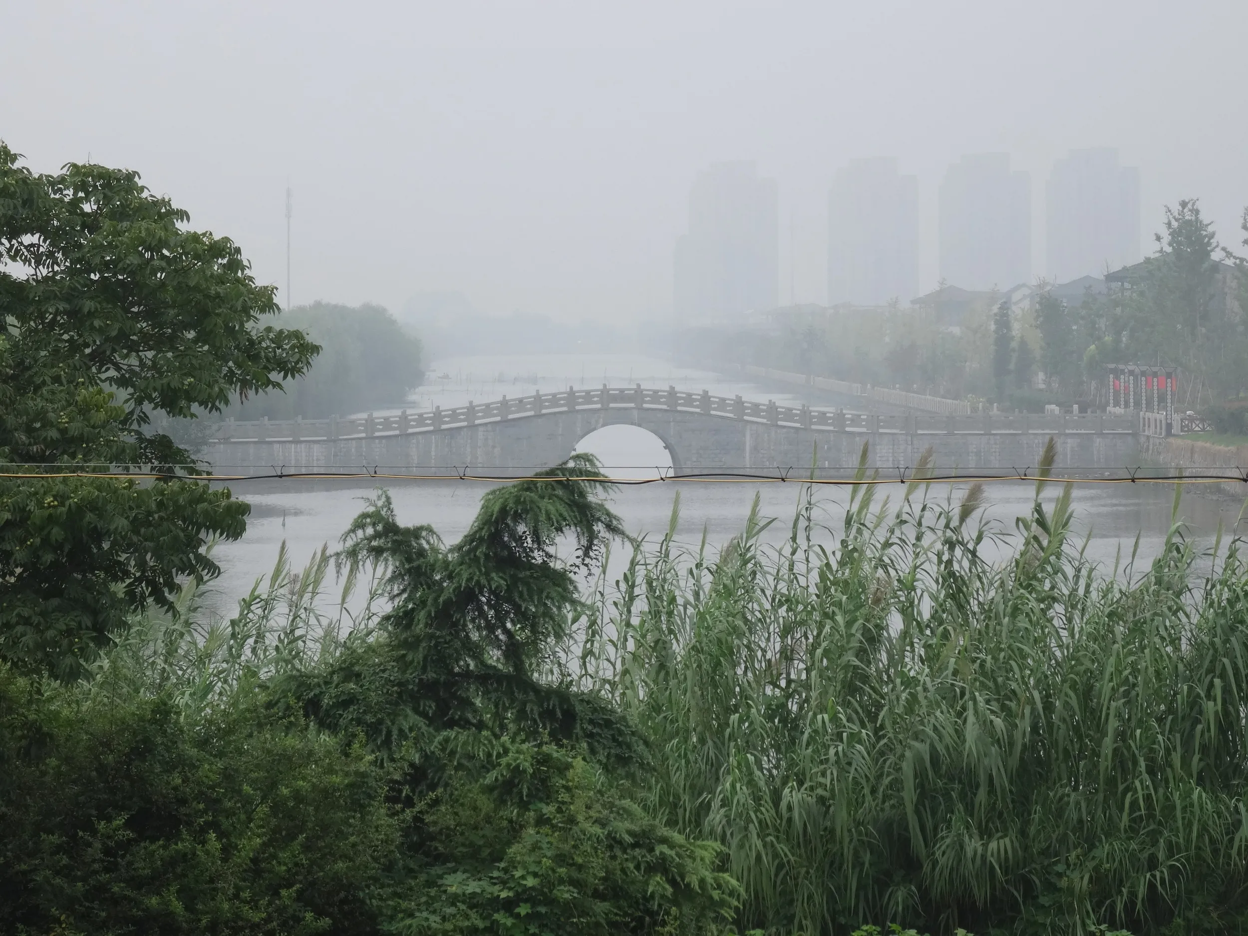 堤防付近の風景
