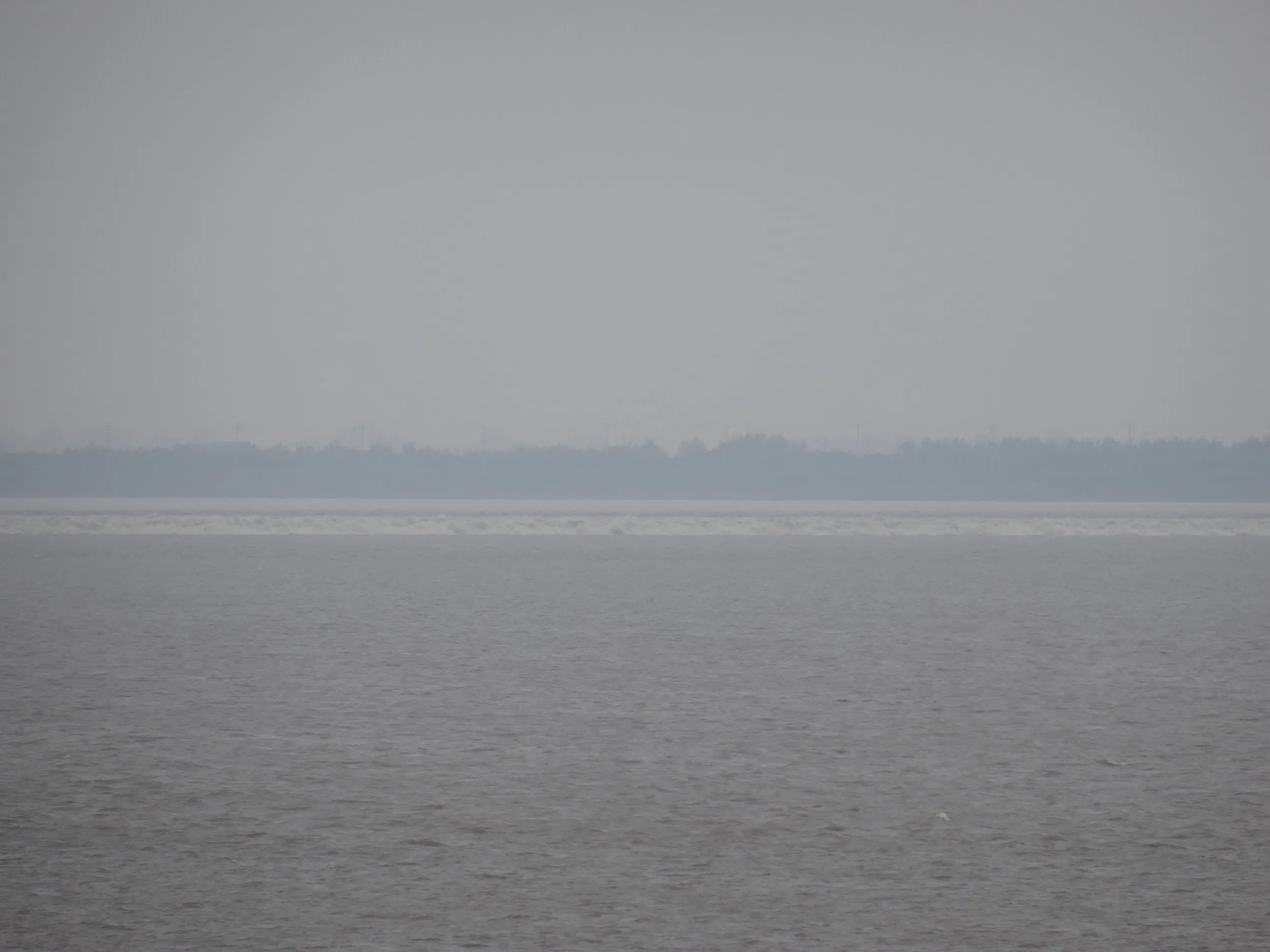 銭塘江の大潮・逆流を見る