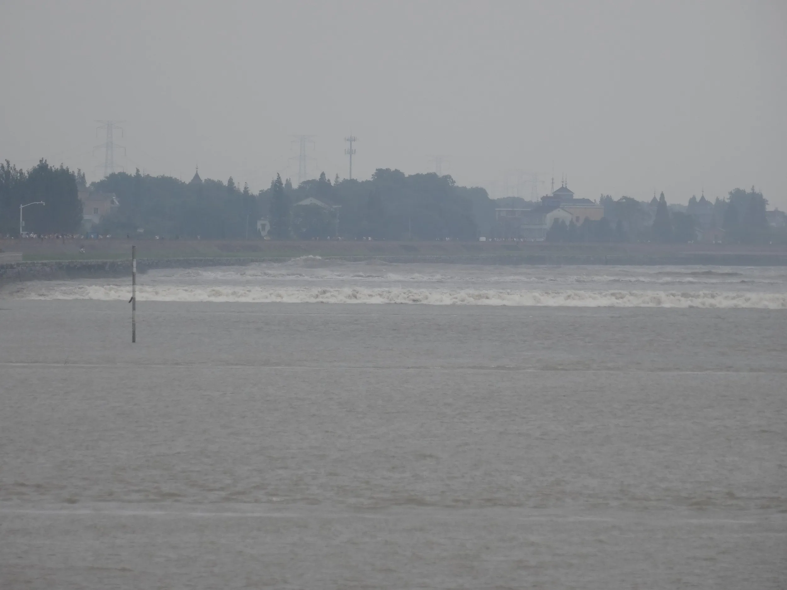 銭塘江の大潮・逆流を見る