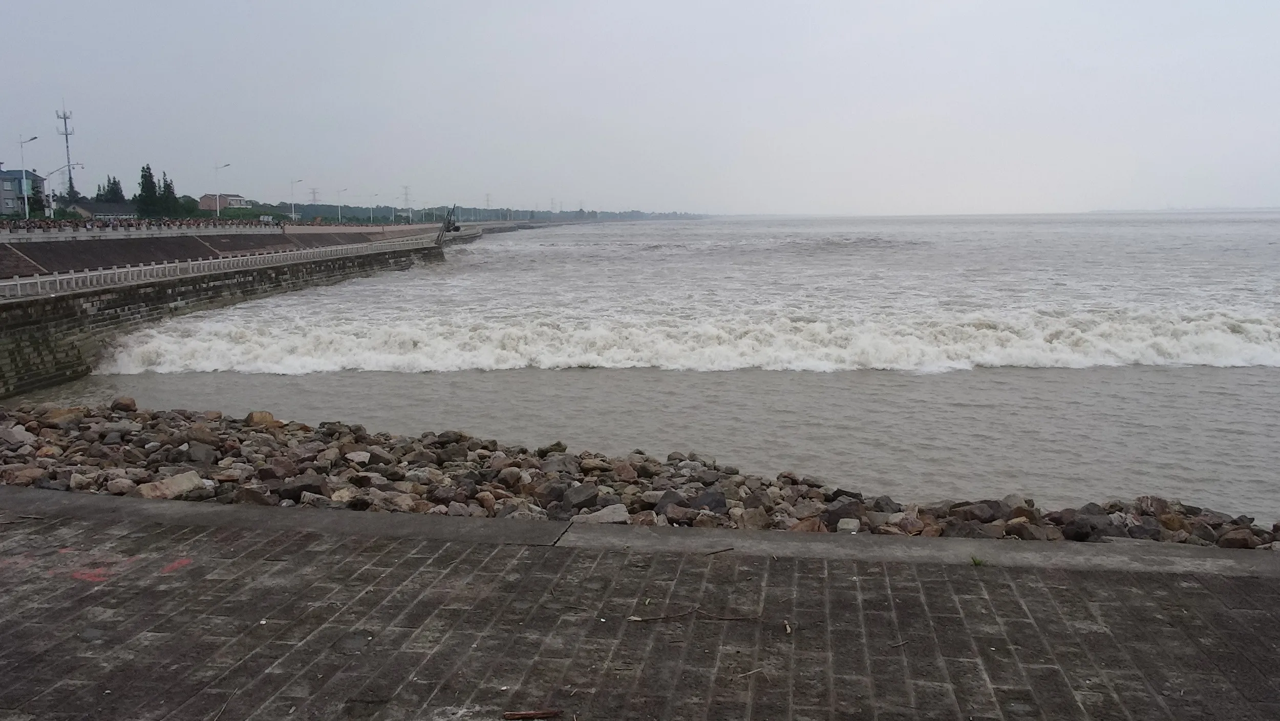 銭塘江の大潮・逆流を見る