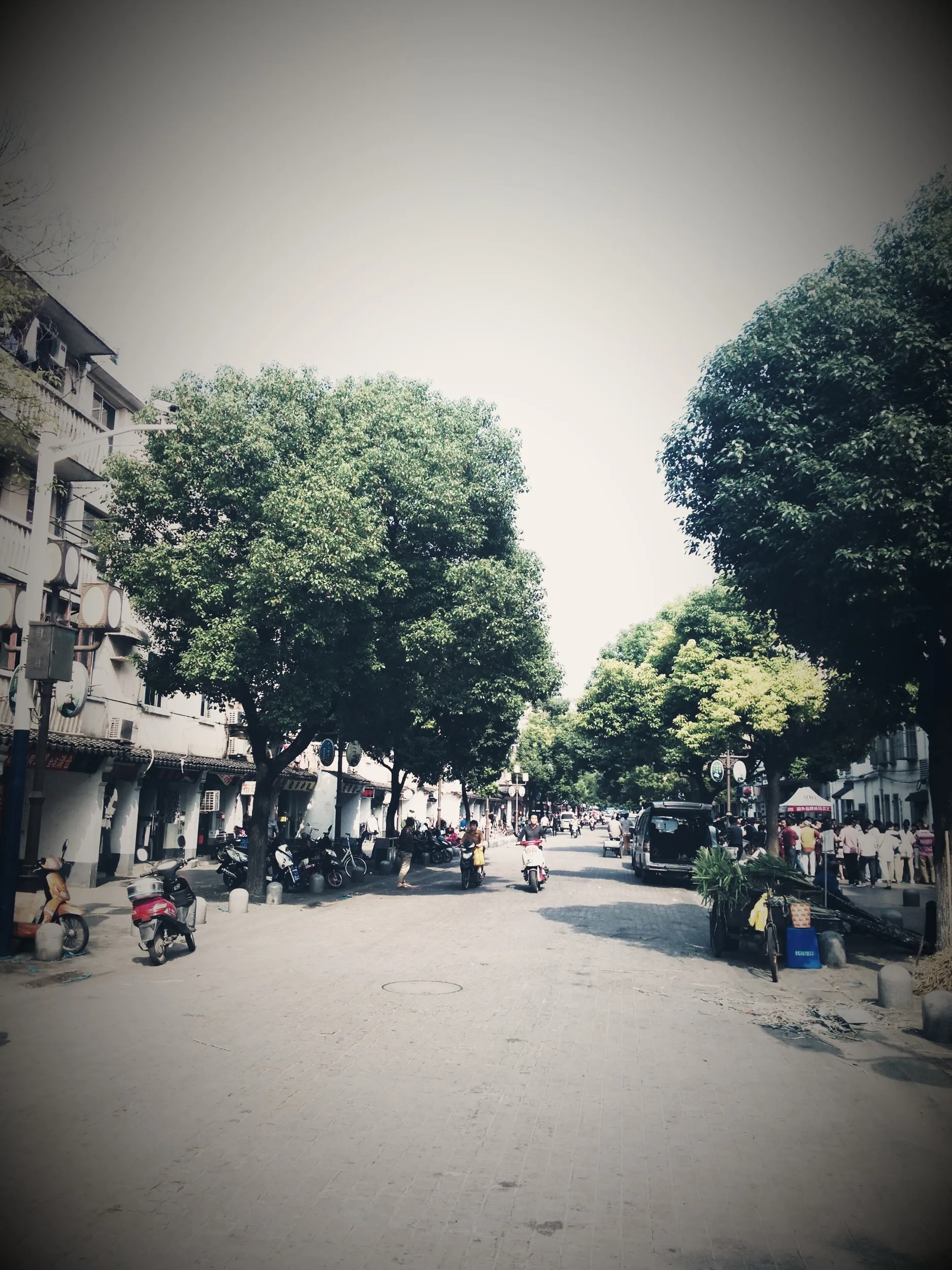 七宝老街の街並み