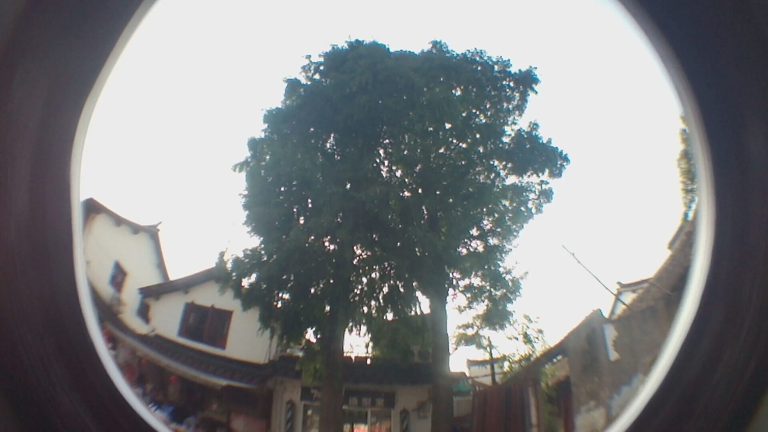 七宝老街の街並み