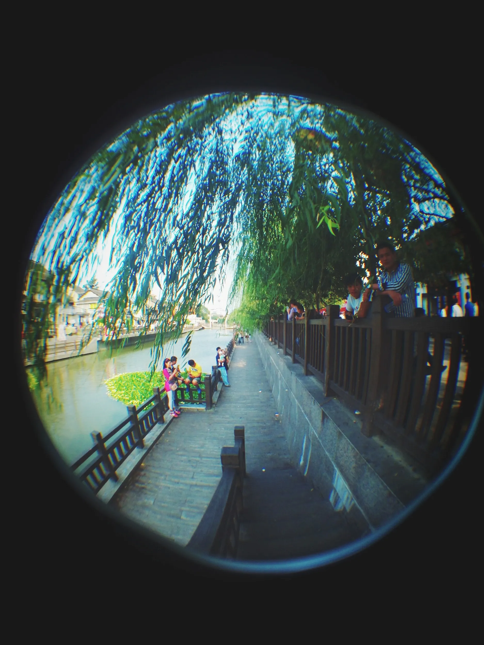 運河沿いの風景