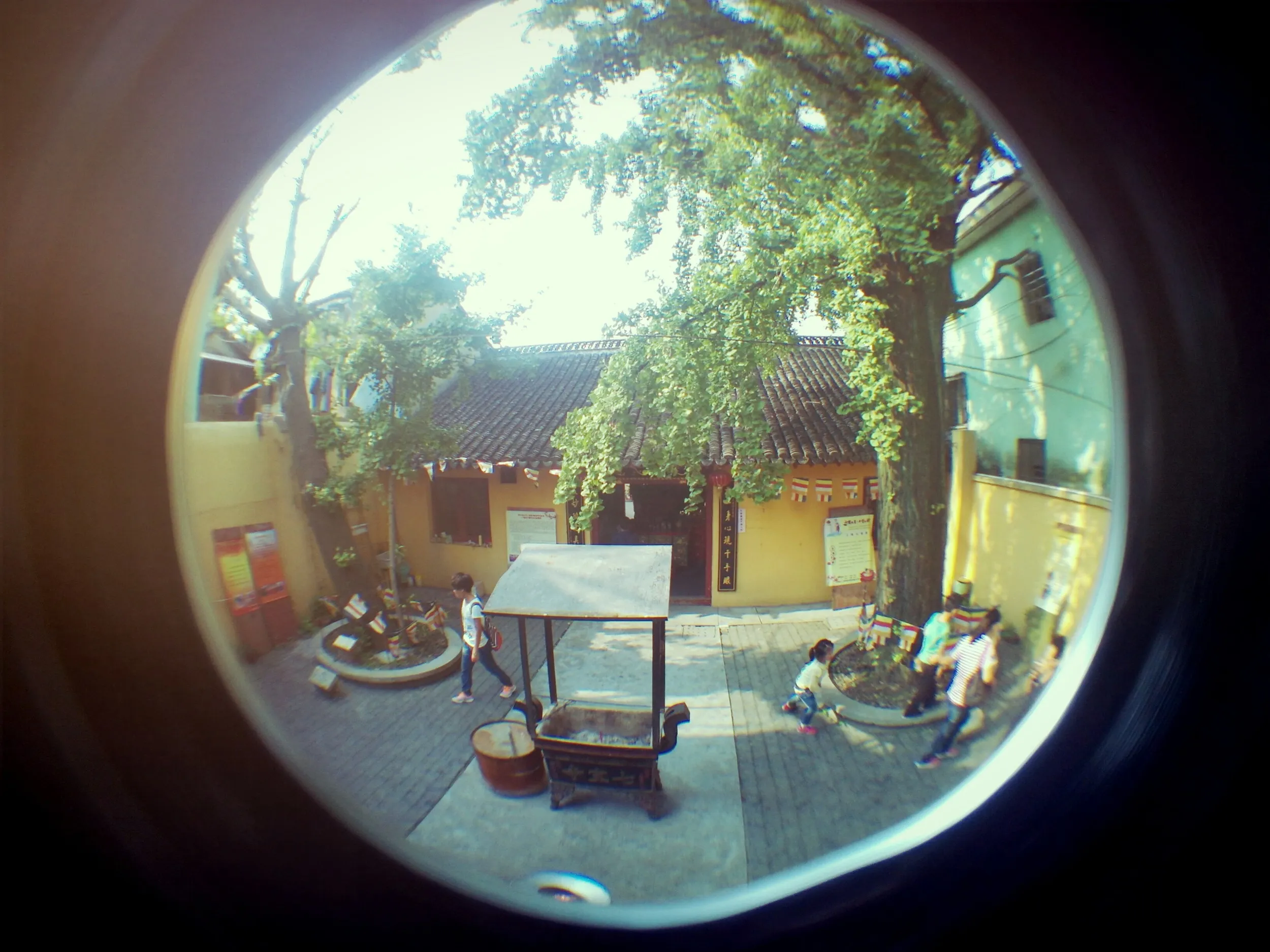 南七宝寺の境内