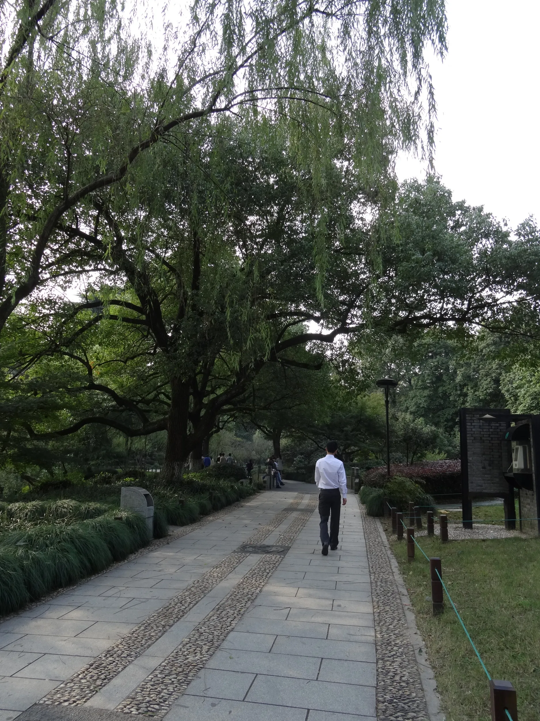 柳浪聞蔦の風景