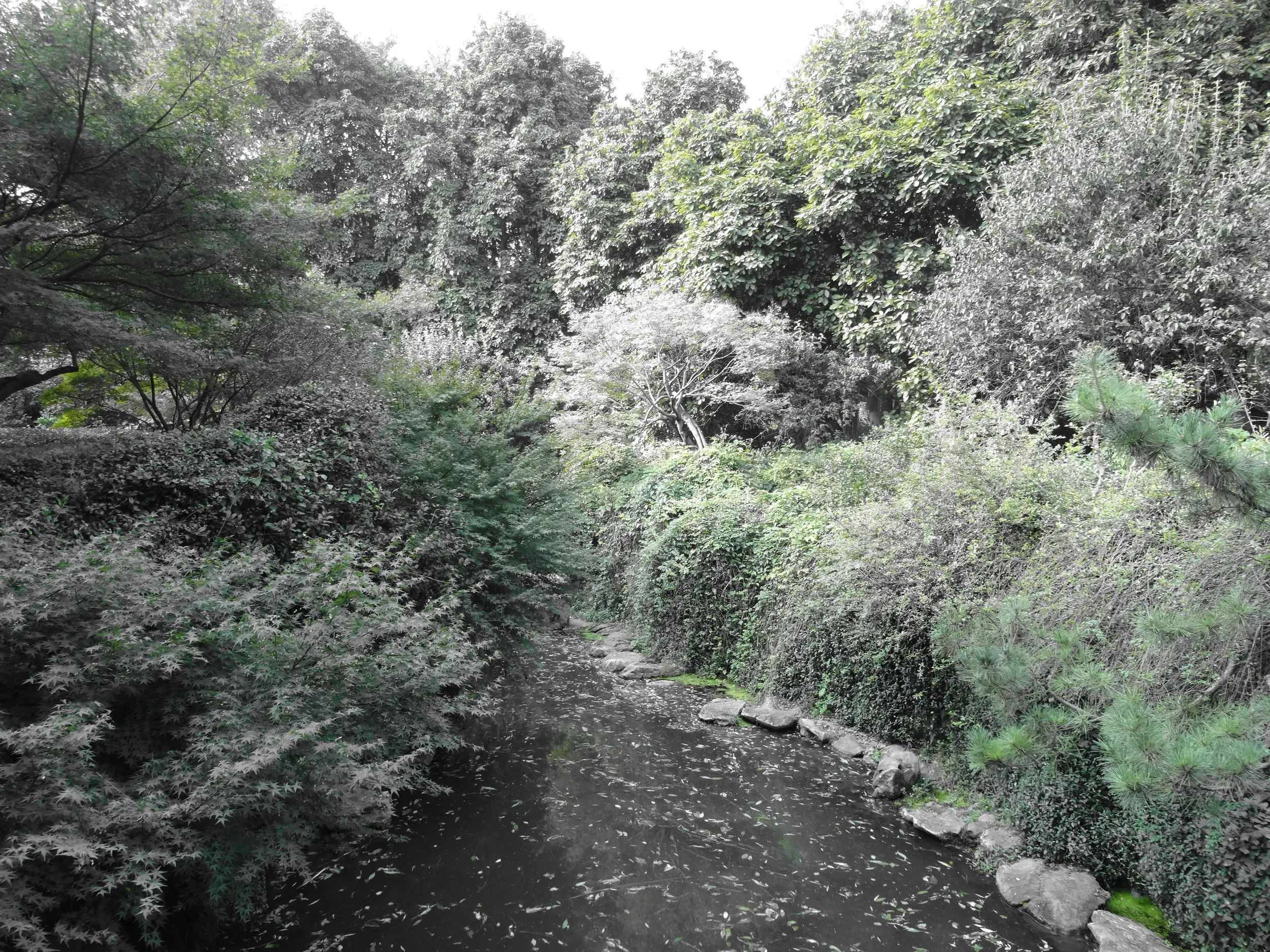 柳浪聞蔦の風景