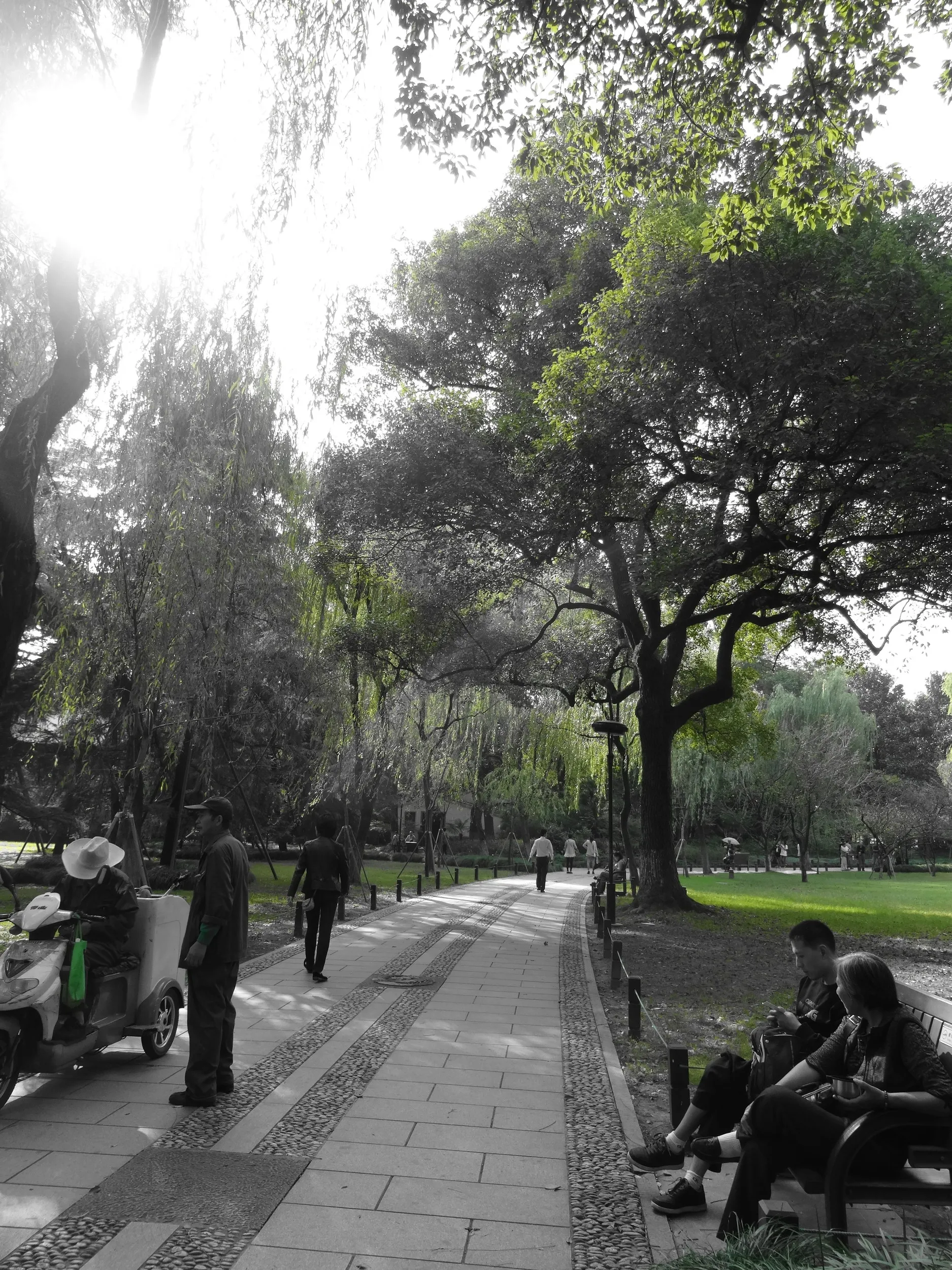 柳浪聞蔦の風景