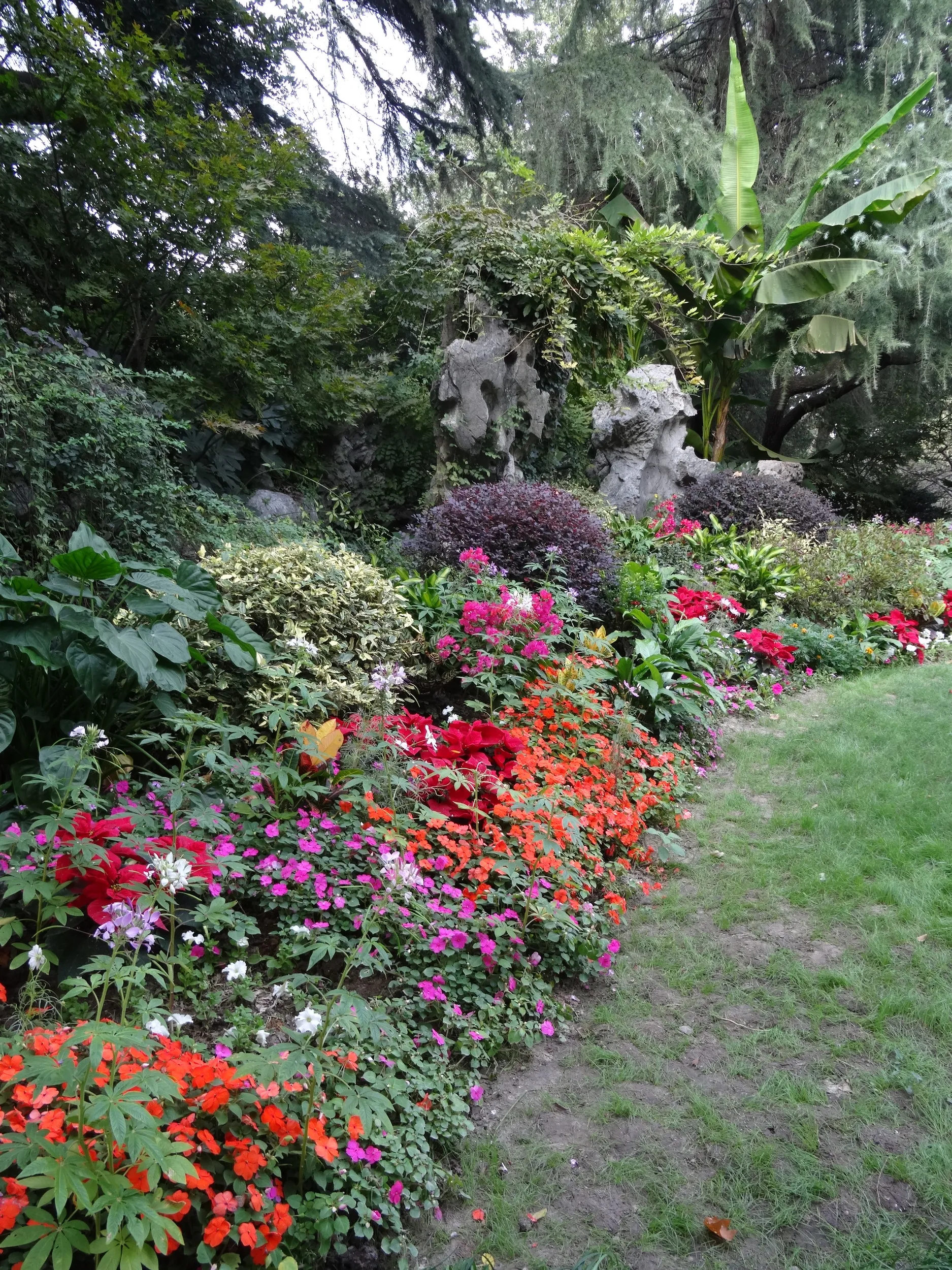 西湖の畔を散歩