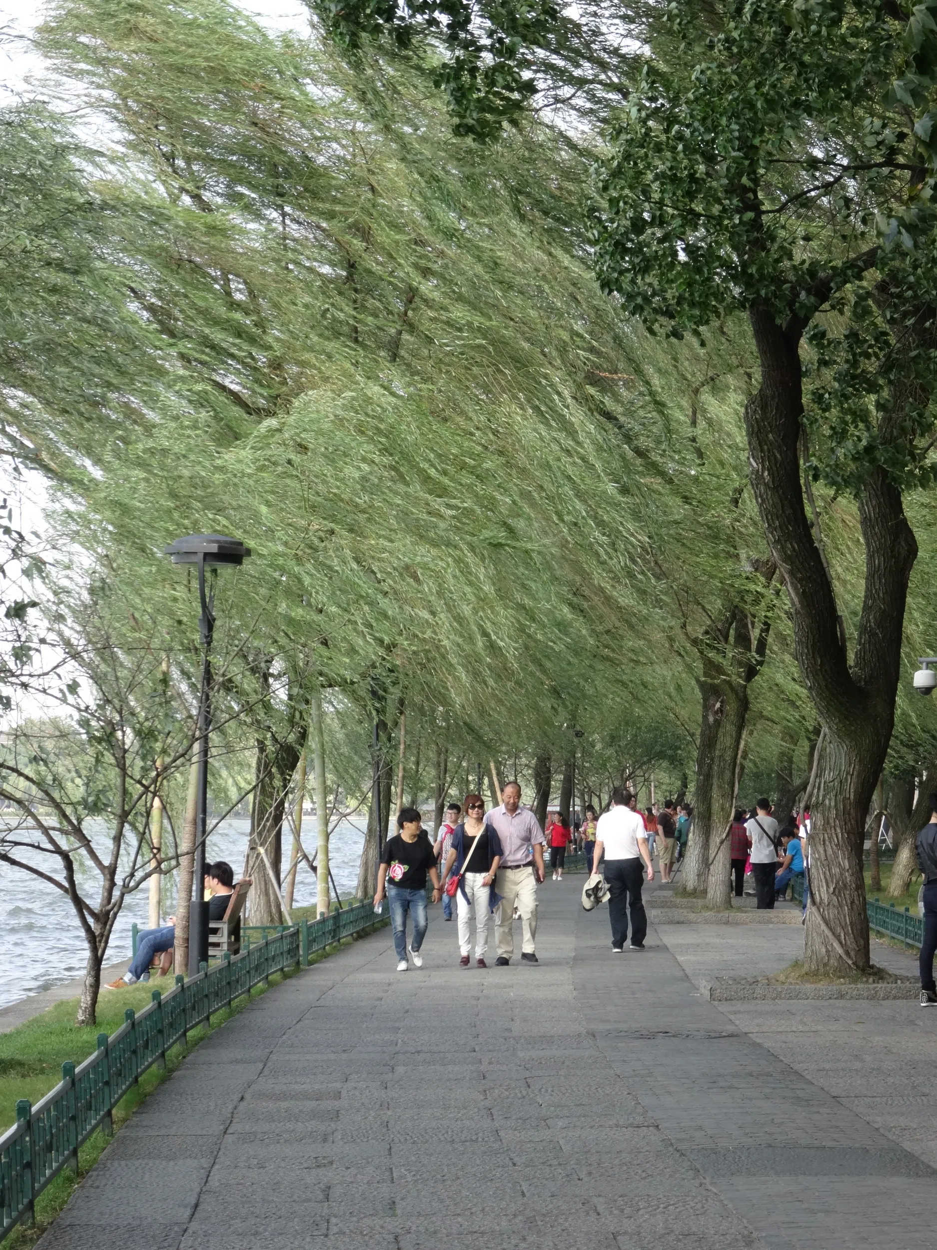 西湖の畔を散歩