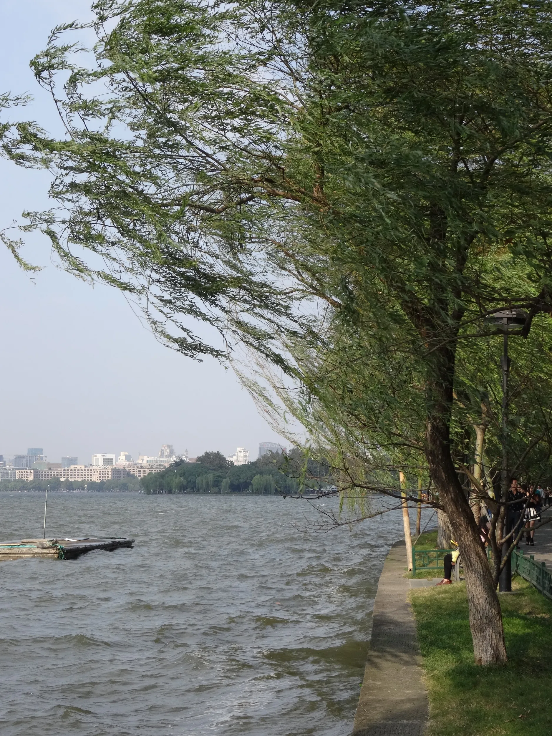 西湖の畔を散歩