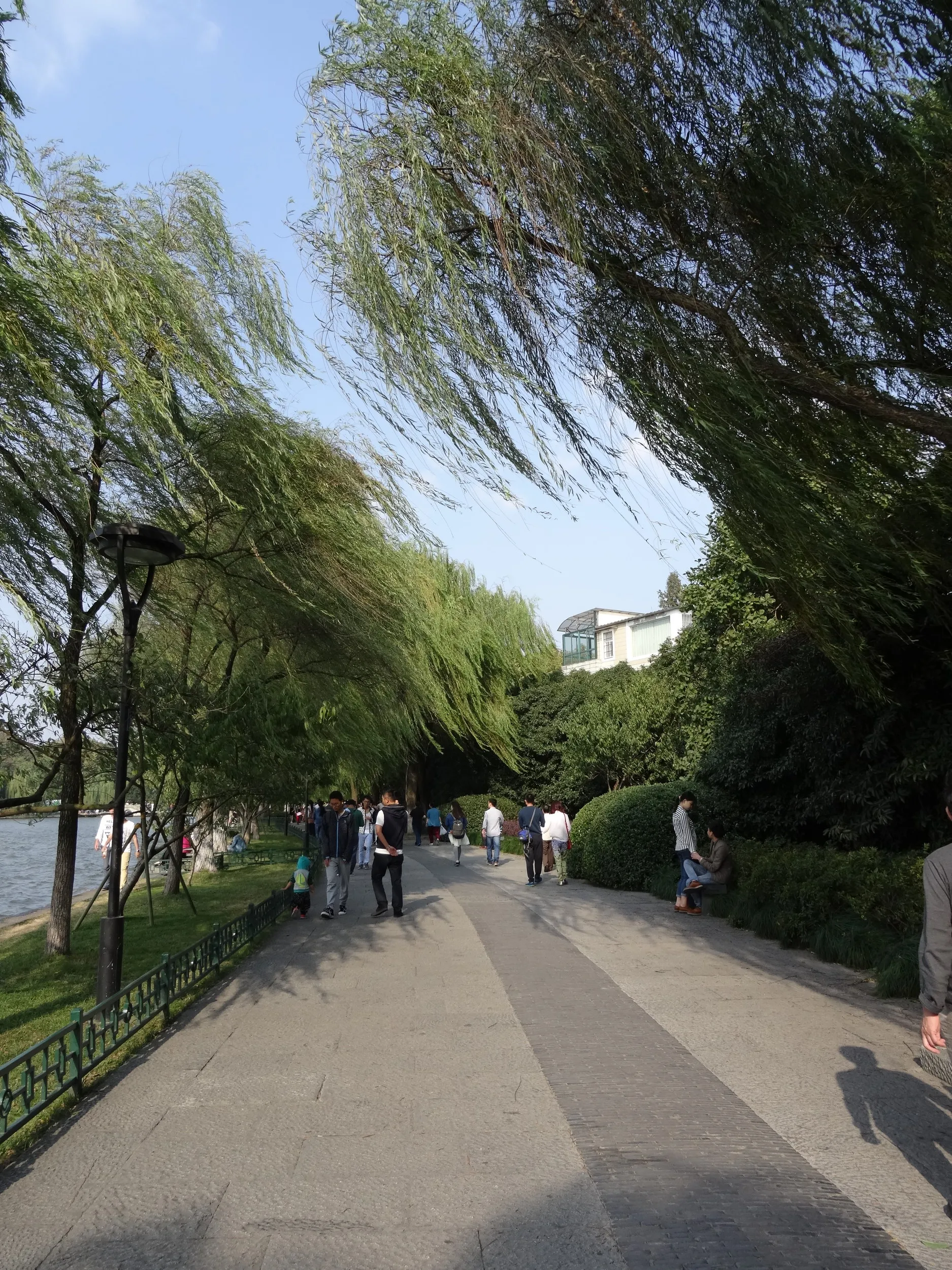 西湖の畔を散歩