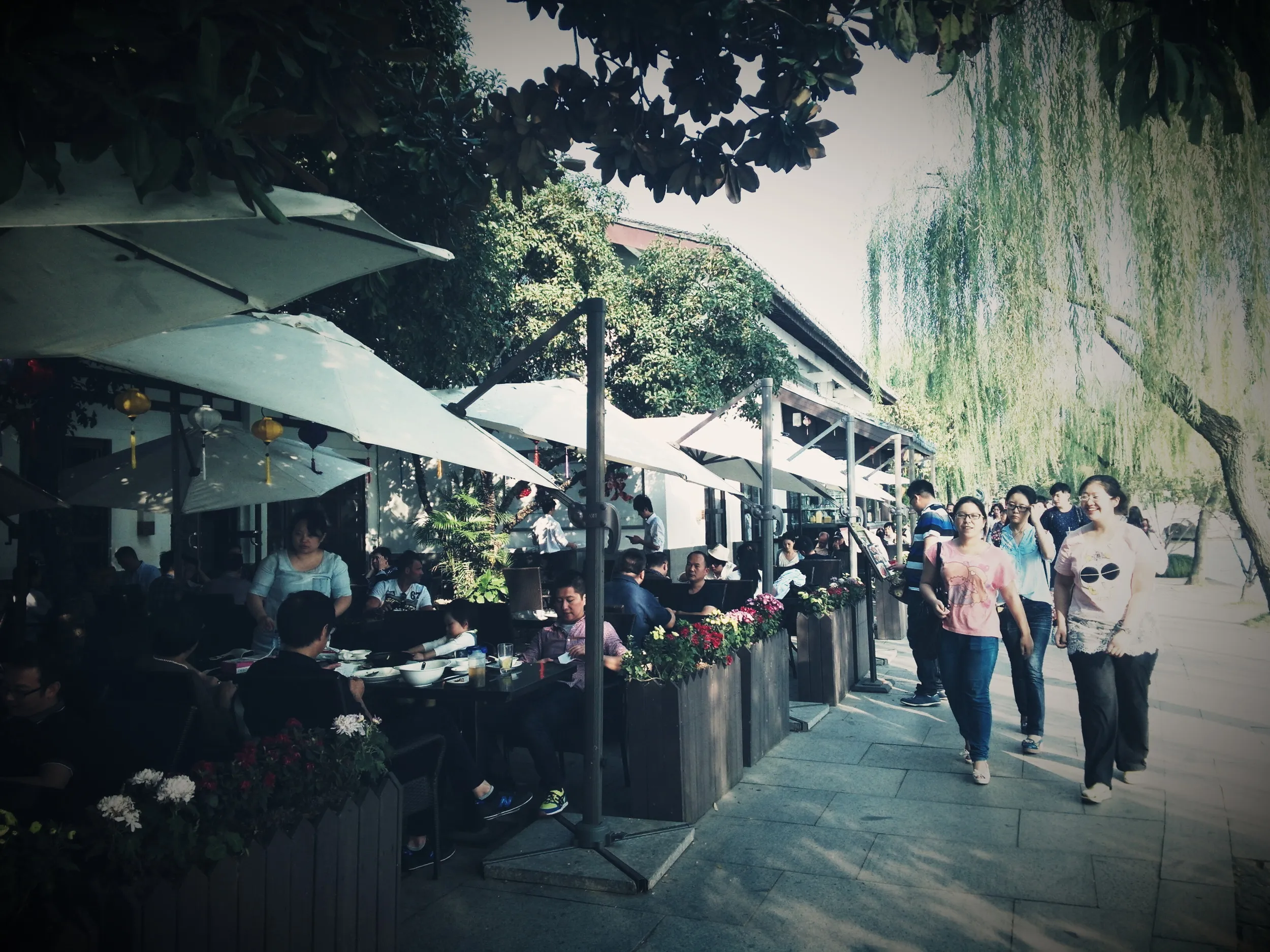 西湖の畔を散歩