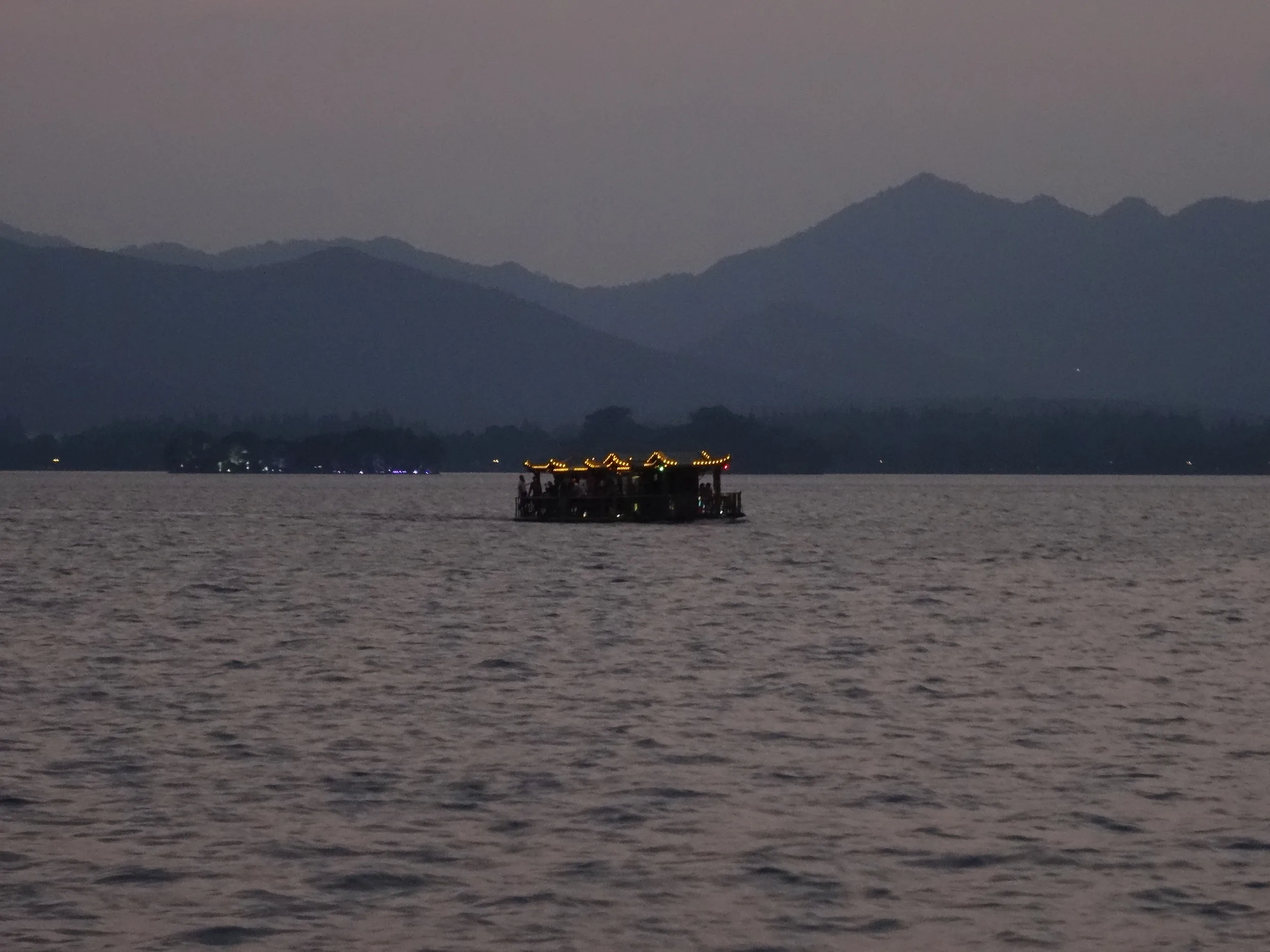 行き交う観光船