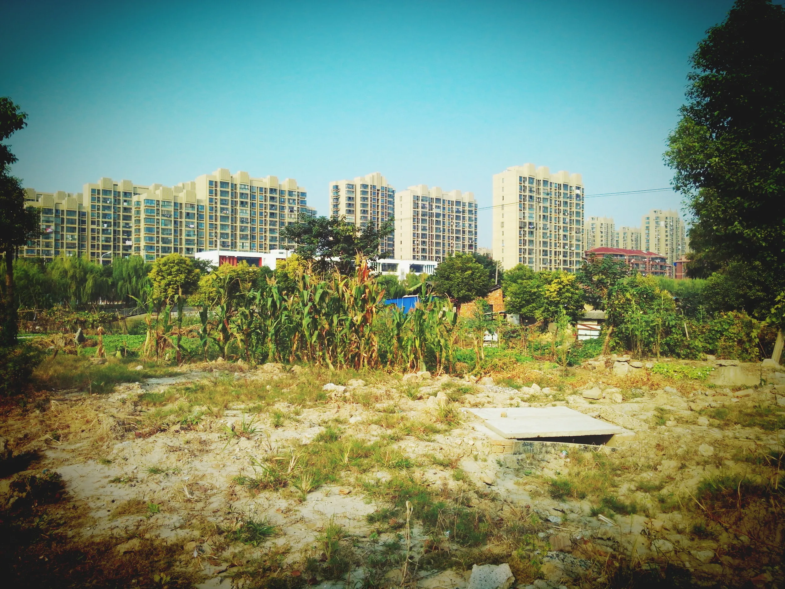 528路線バスの終点